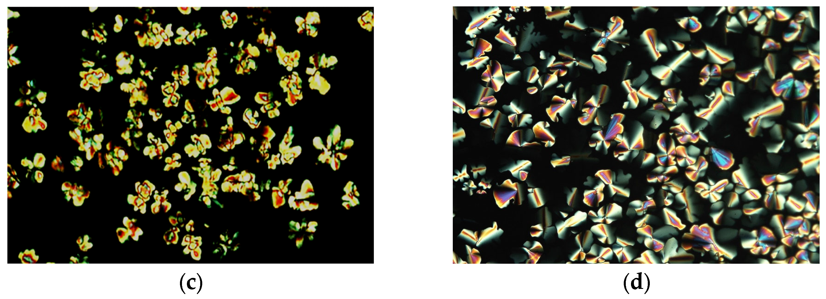 Molecules 28 04196 g004b Molecules 28 04196 g004b