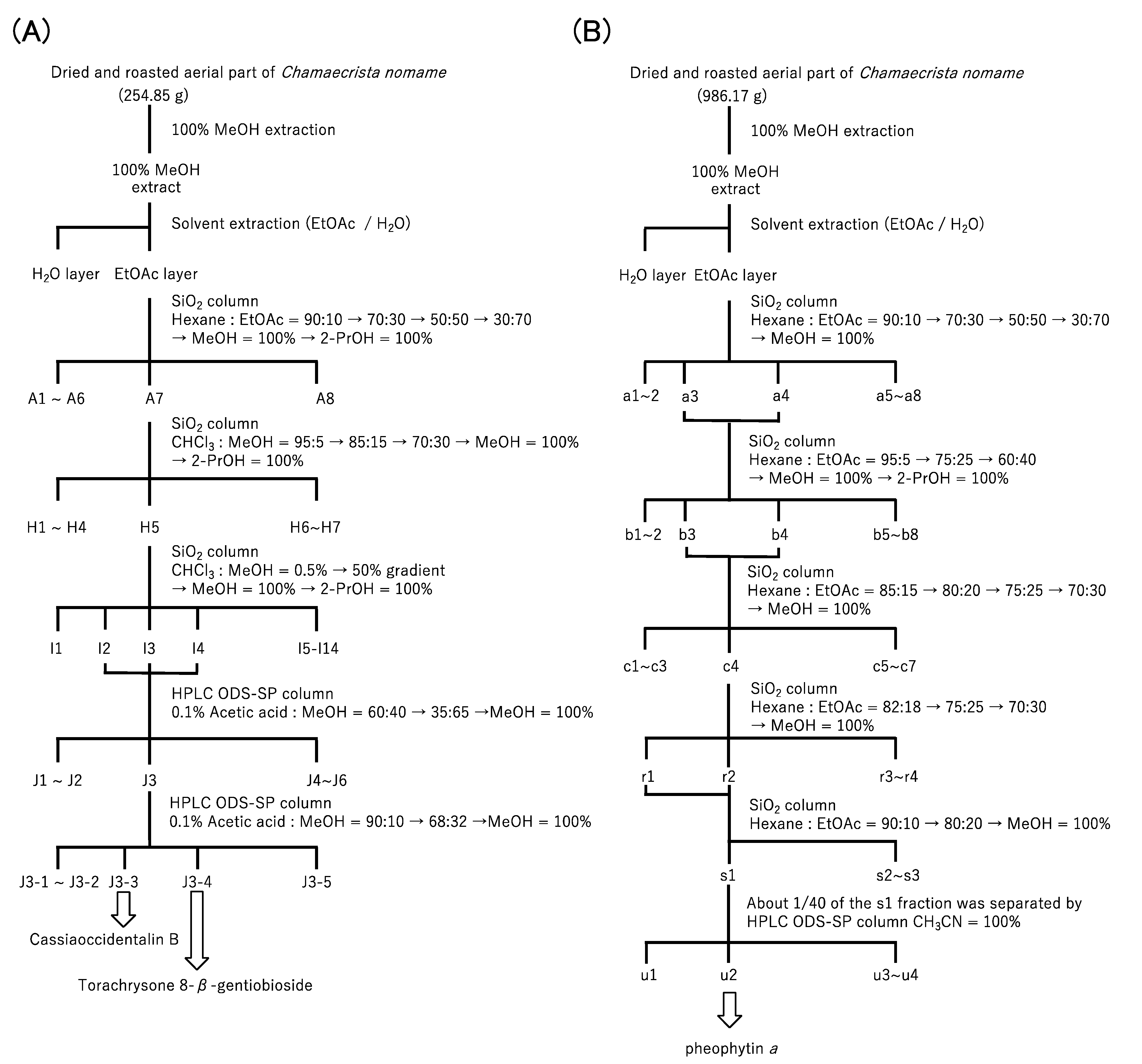 Molecules 28 04197 g001 Molecules 28 04197 g001