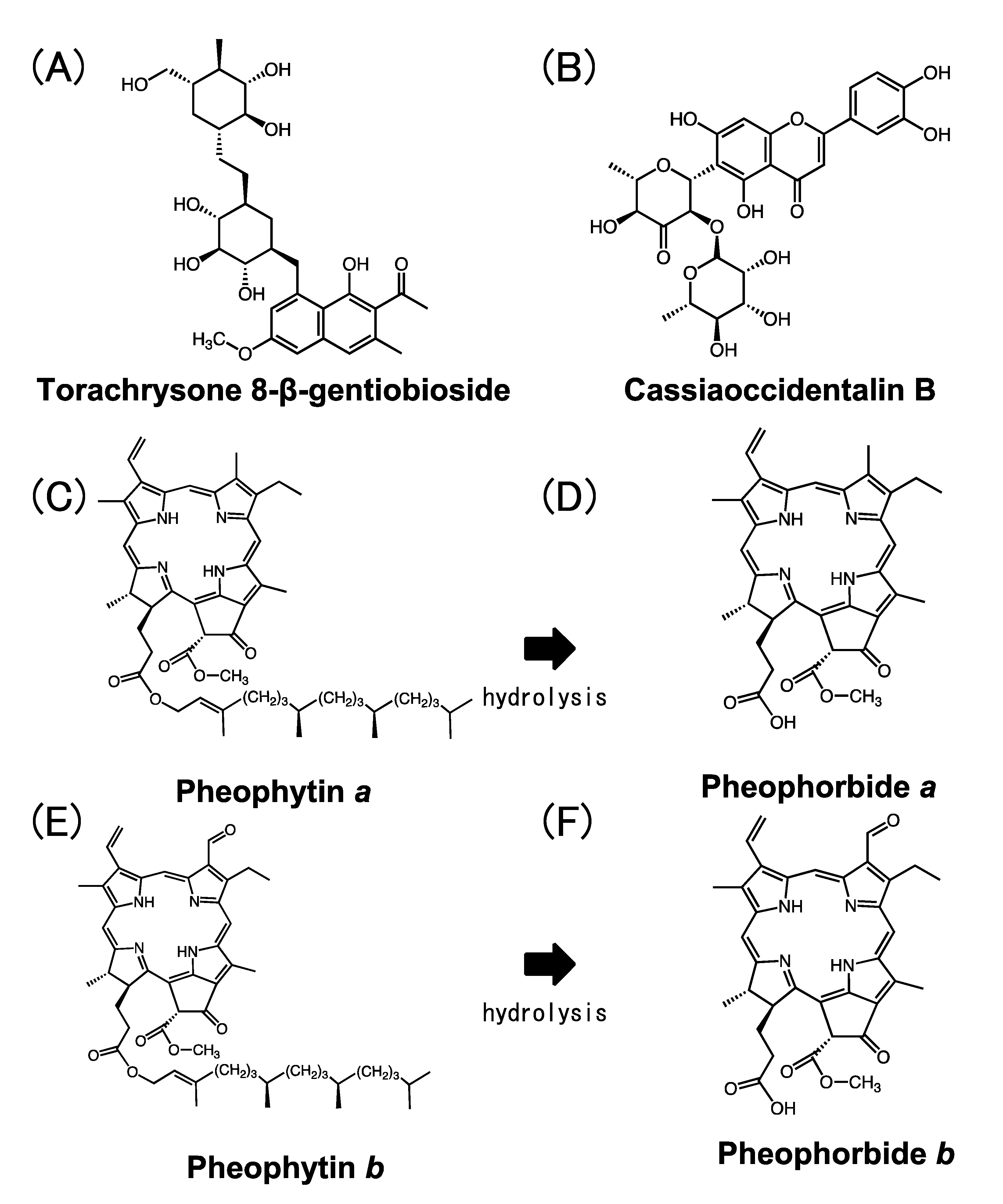 Molecules 28 04197 g002 Molecules 28 04197 g002
