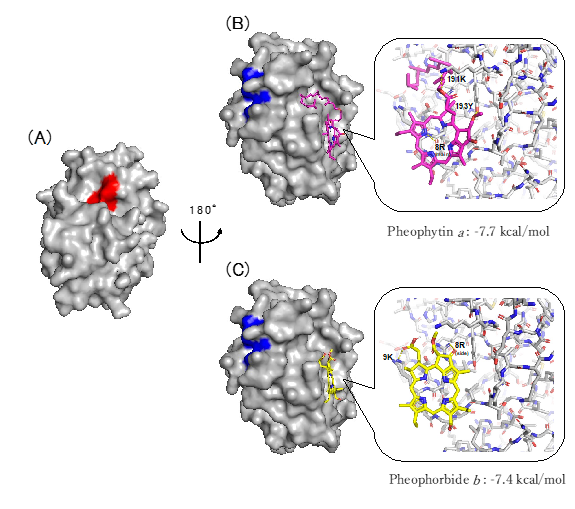 Molecules 28 04197 g005 Molecules 28 04197 g005
