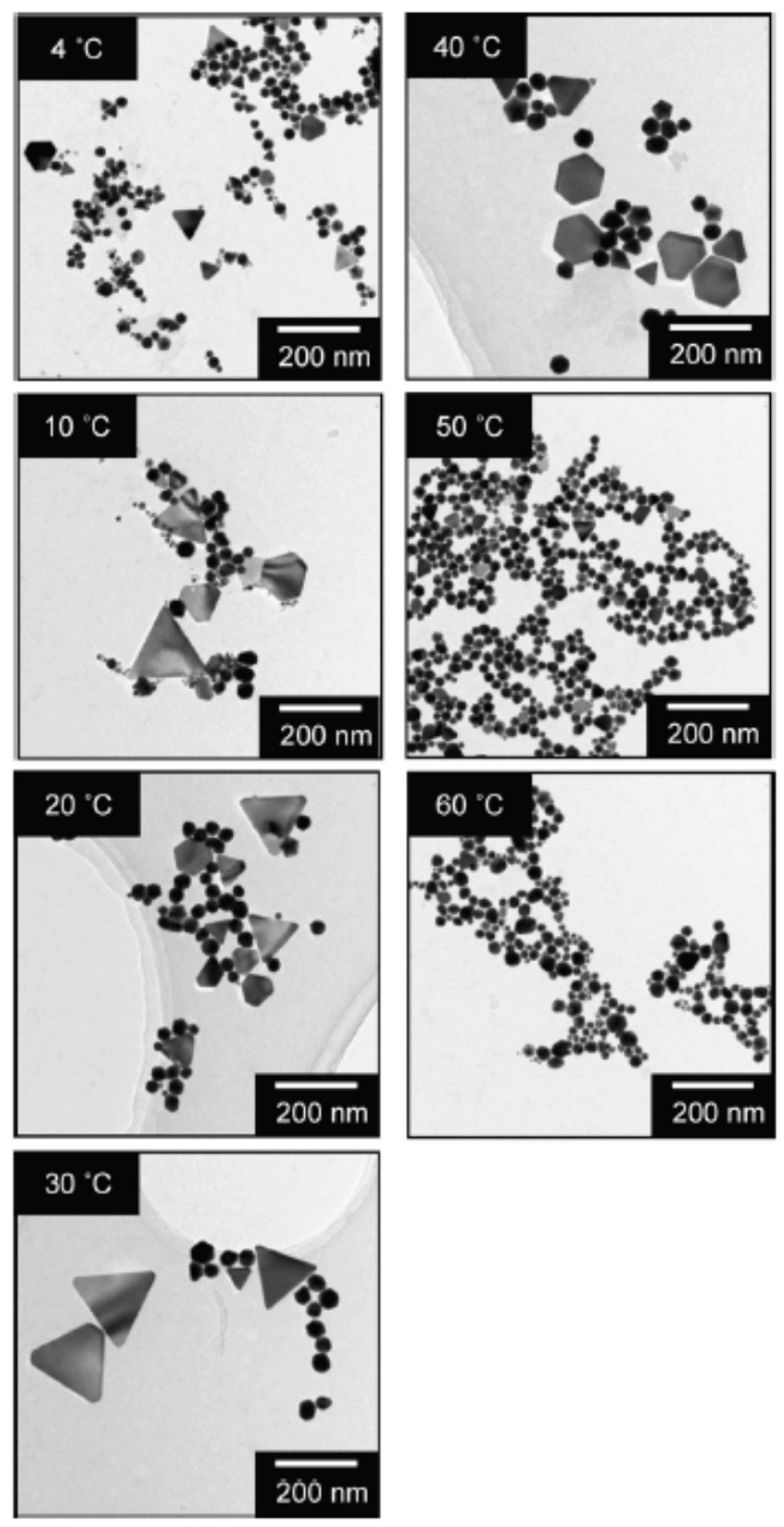 Molecules 28 04198 g002 Molecules 28 04198 g002
