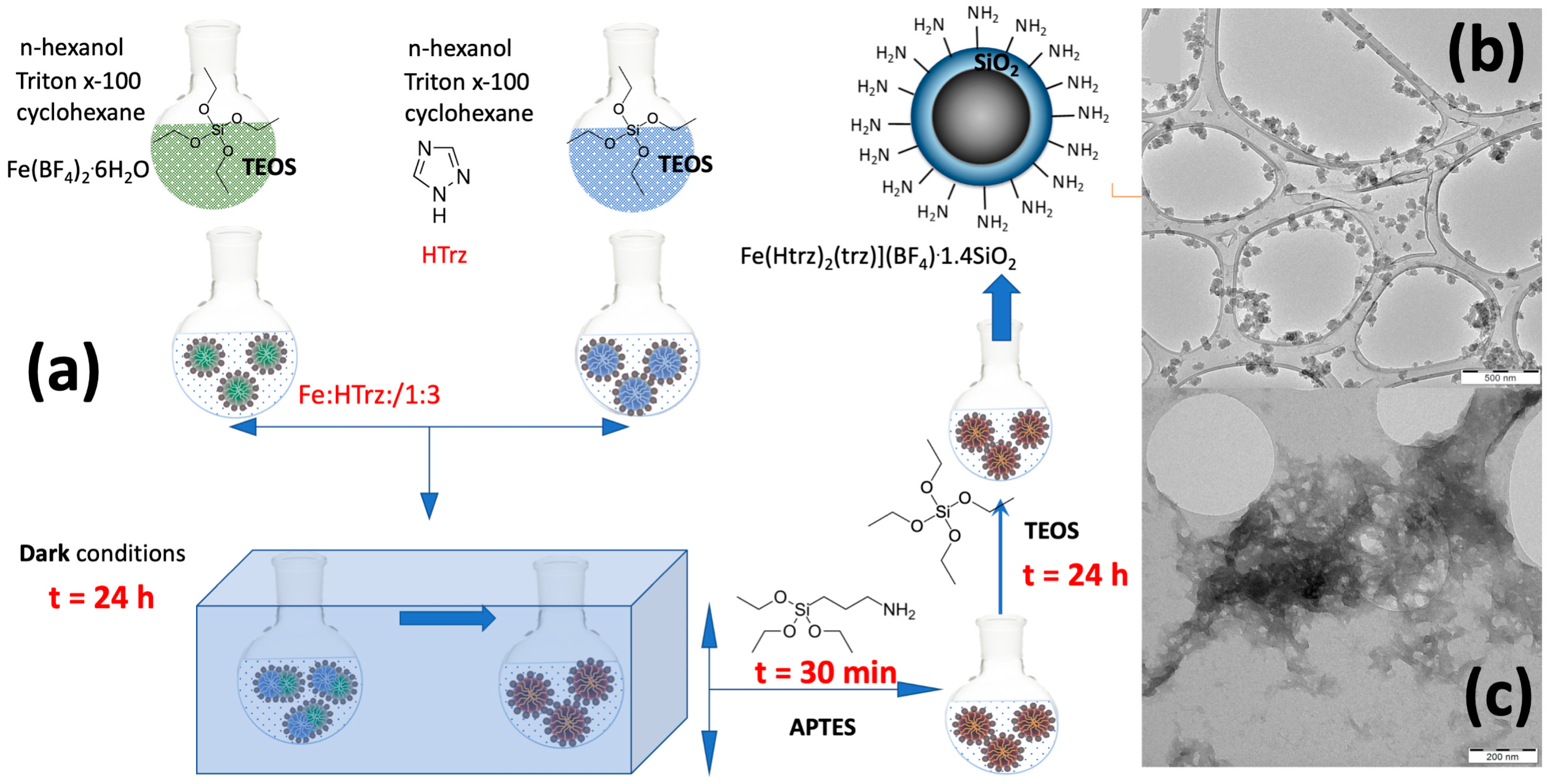 Molecules 28 04200 g001 Molecules 28 04200 g001