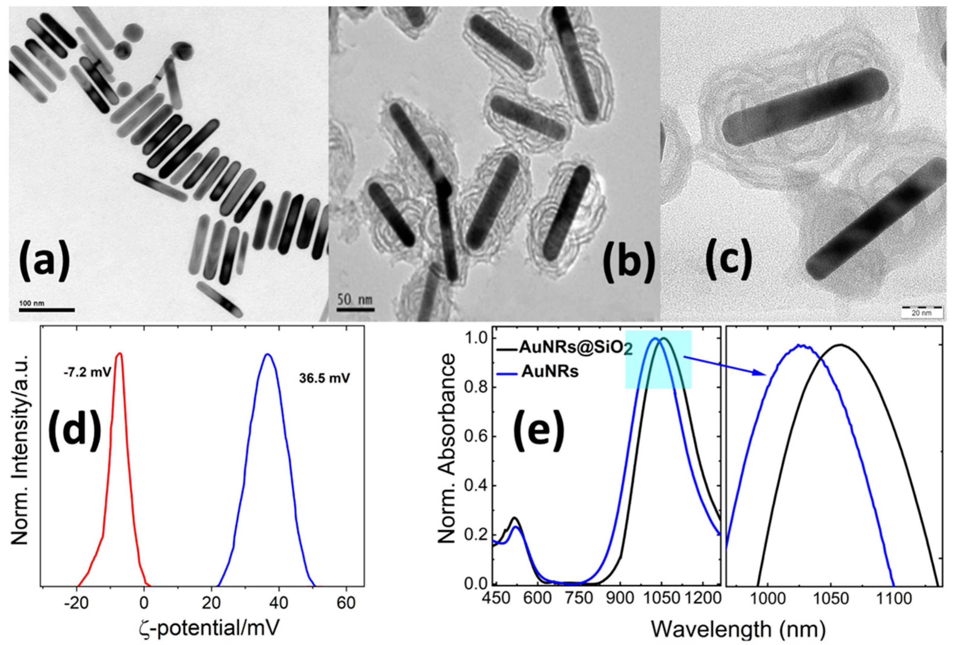 Molecules 28 04200 g002 Molecules 28 04200 g002