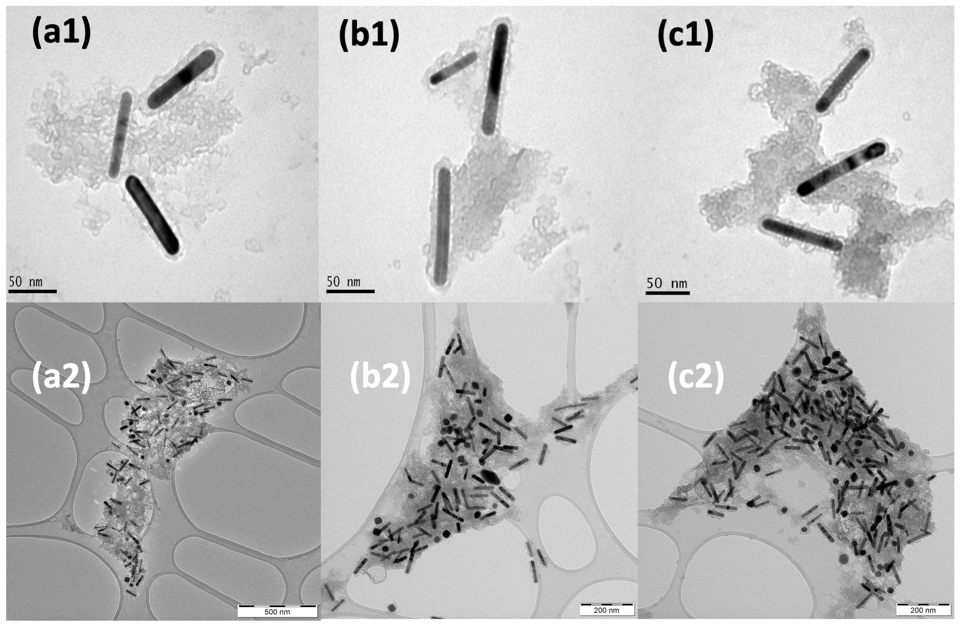 Molecules 28 04200 g003 Molecules 28 04200 g003