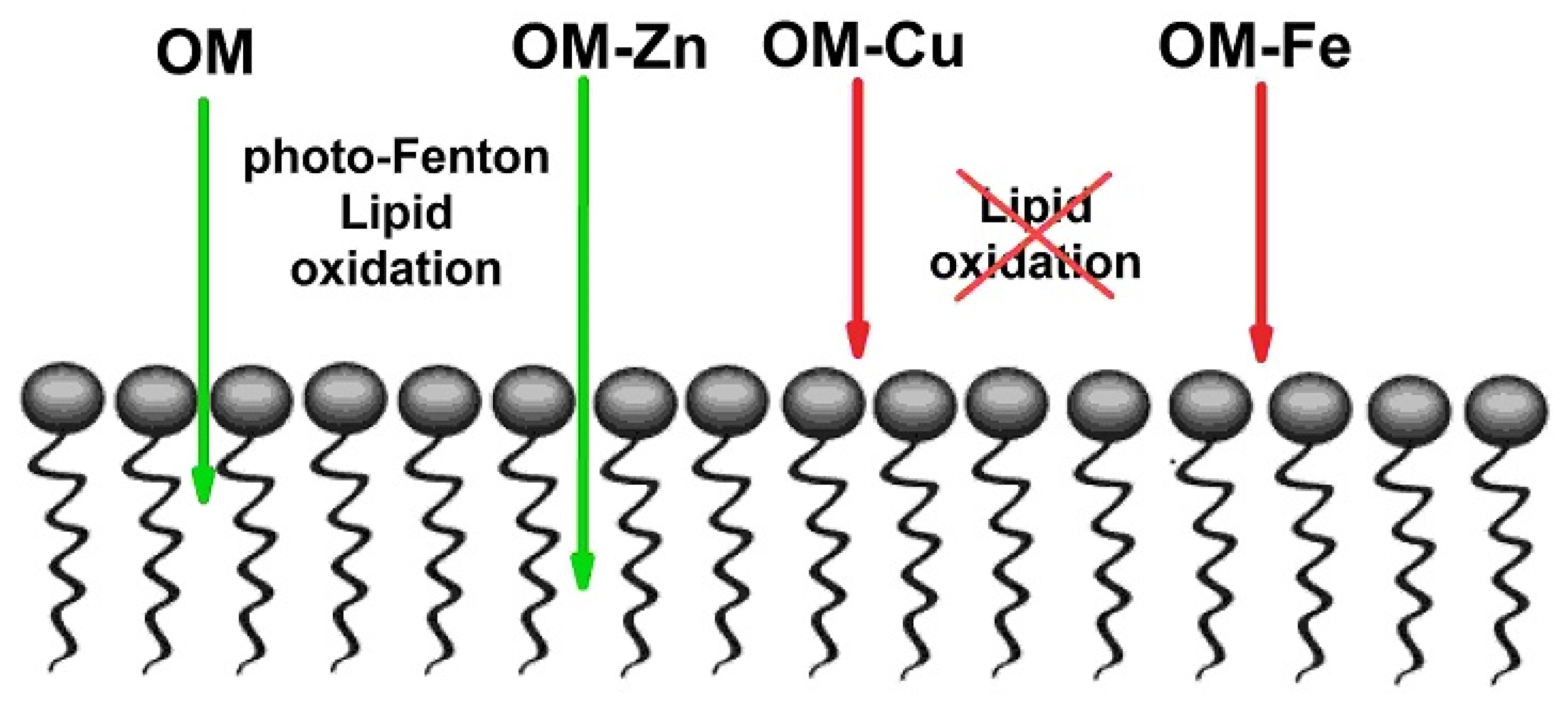 Molecules 28 04210 g006