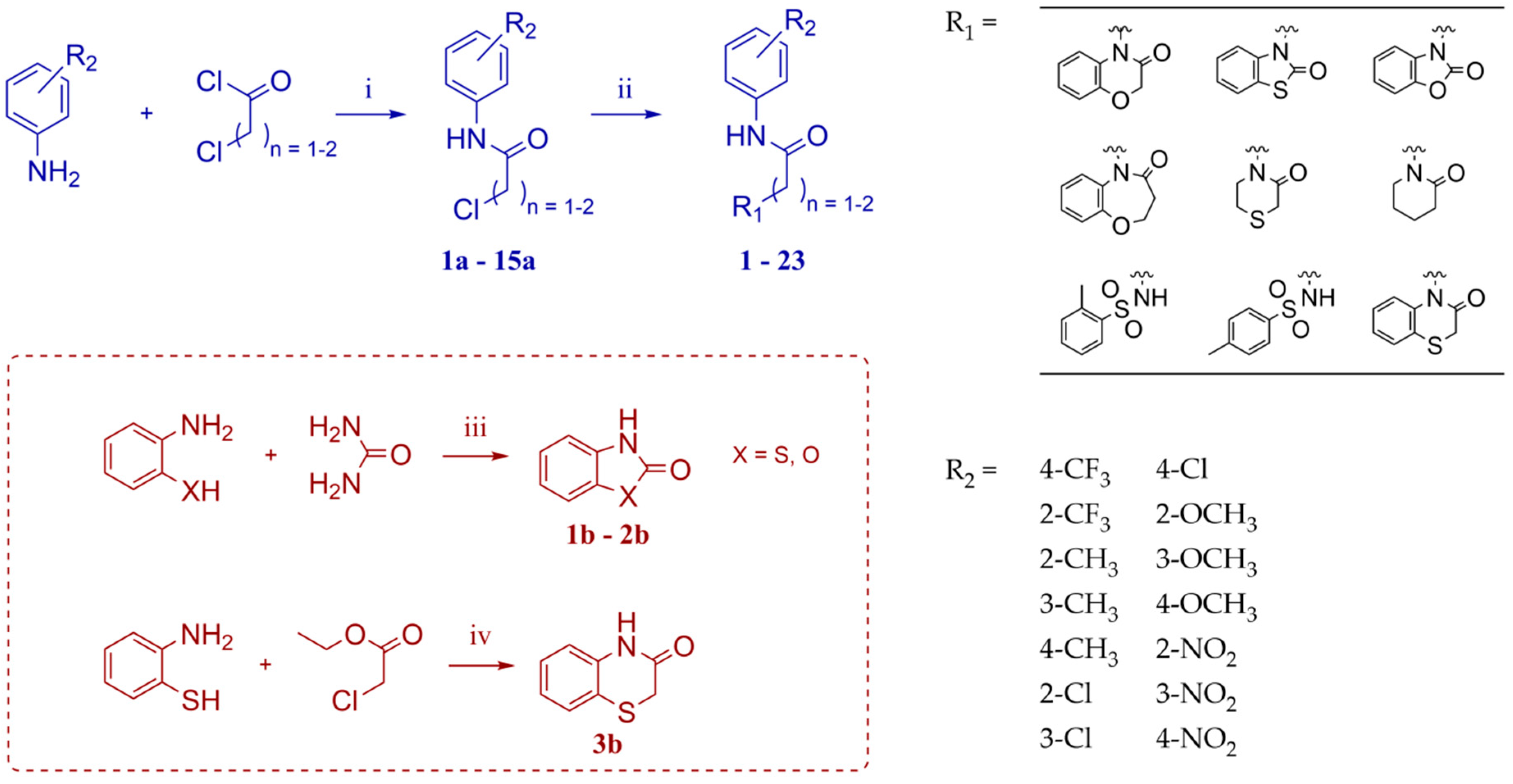 Molecules 28 04211 sch001 Molecules 28 04211 sch001