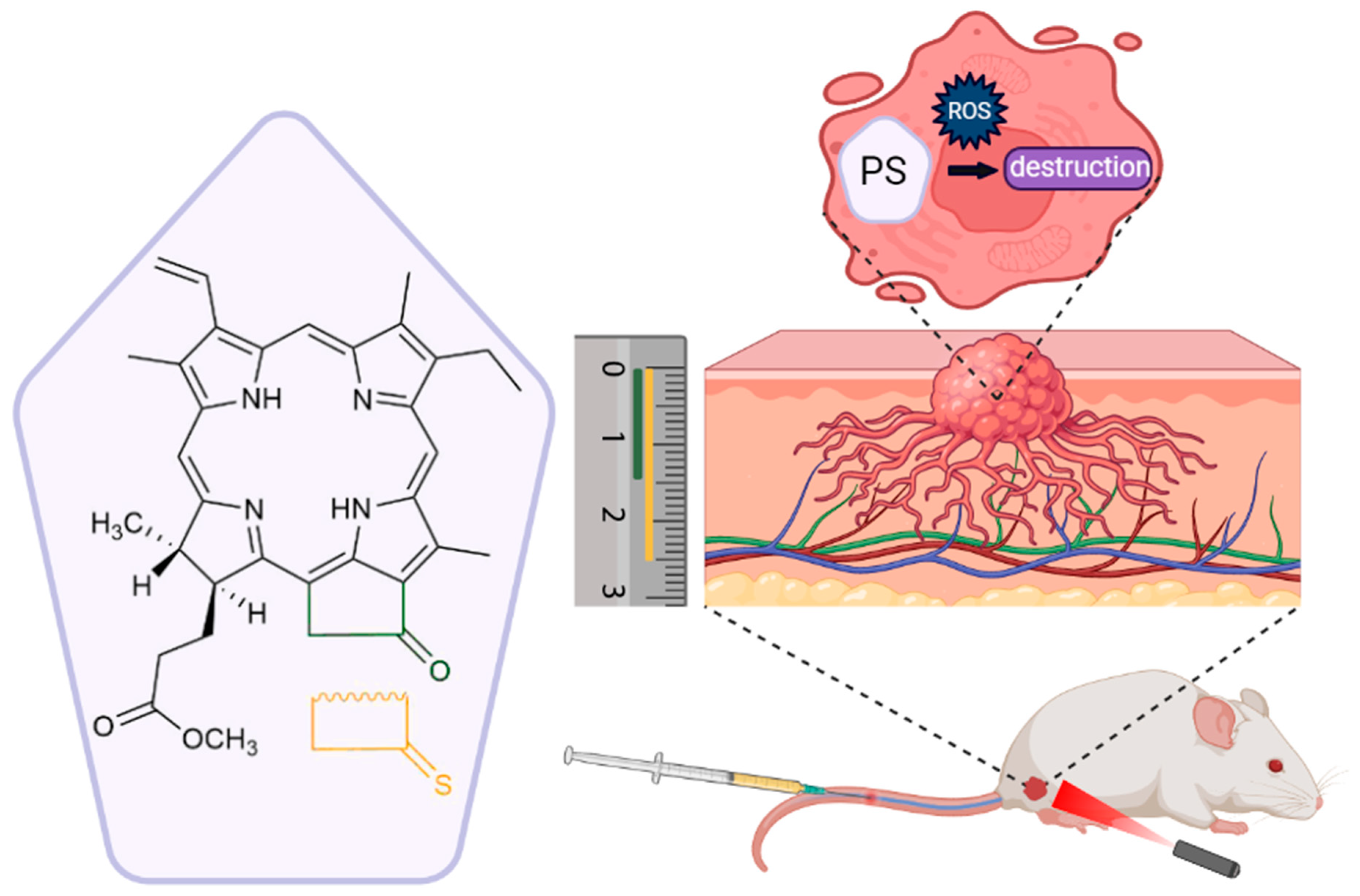 Molecules 28 04215 g001 Molecules 28 04215 g001