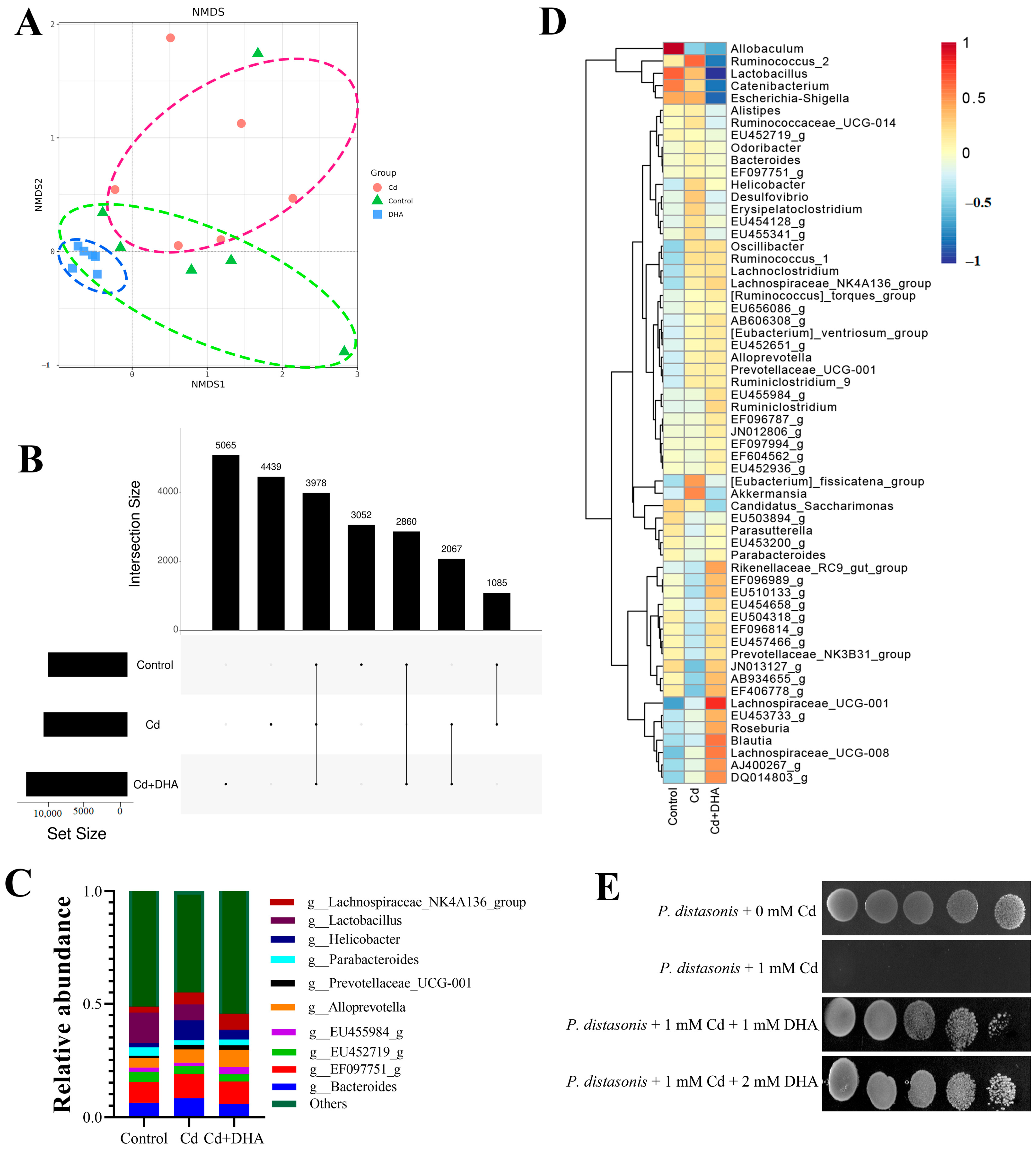 Molecules 28 04217 g003 Molecules 28 04217 g003