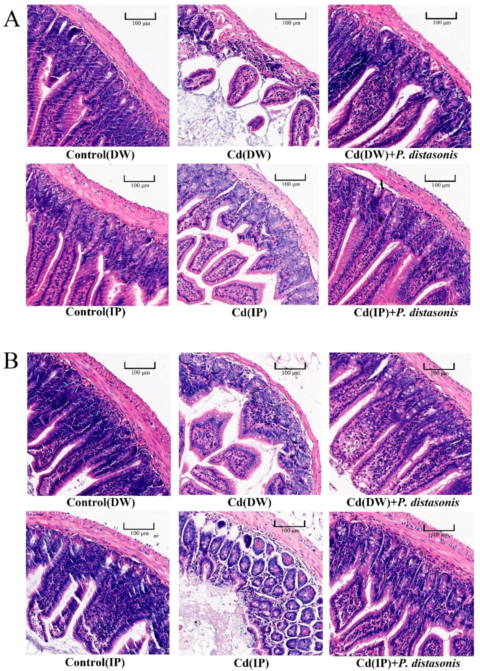 Molecules 28 04217 g004 Molecules 28 04217 g004