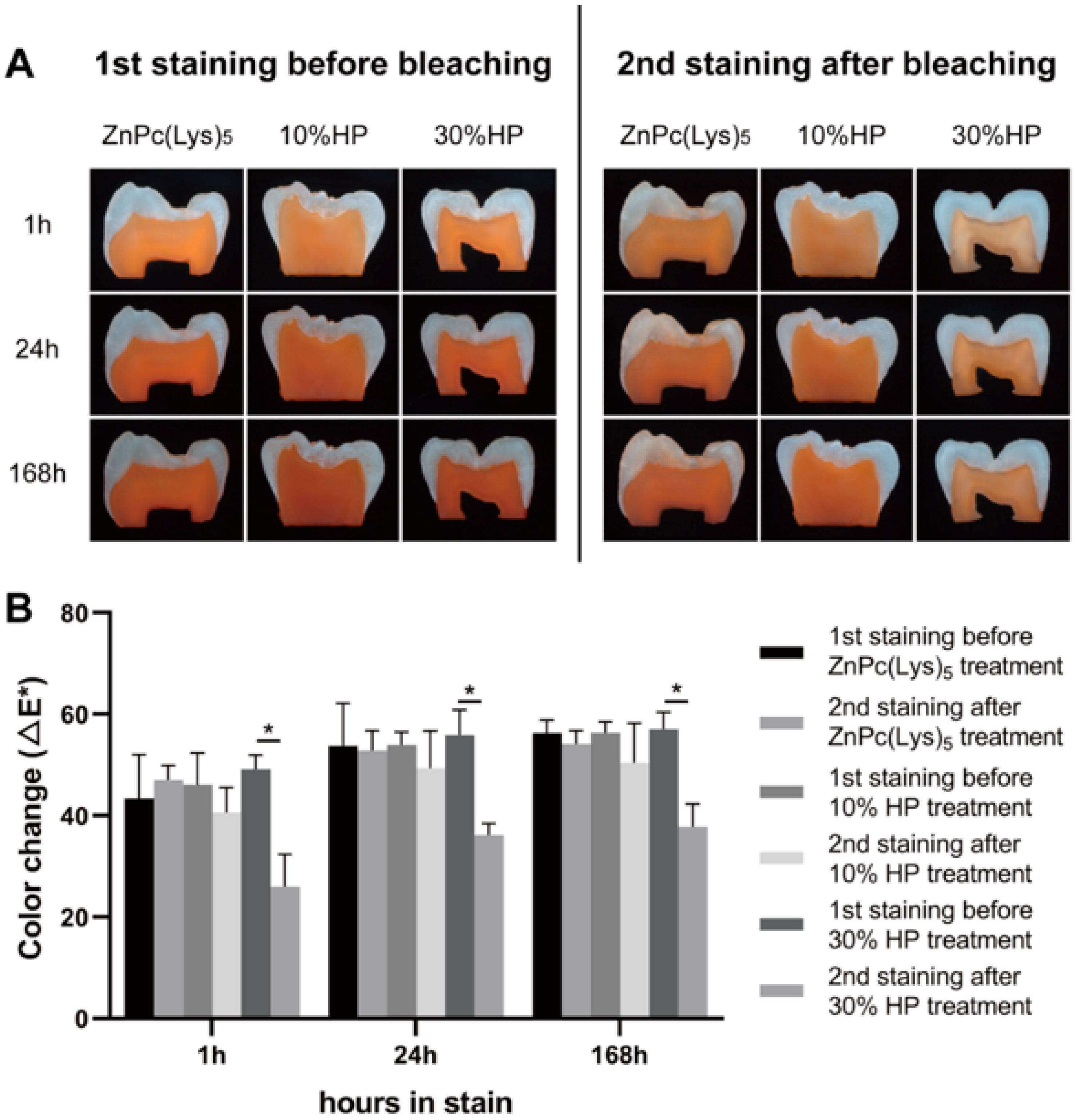 Molecules 28 04223 g004 Molecules 28 04223 g004