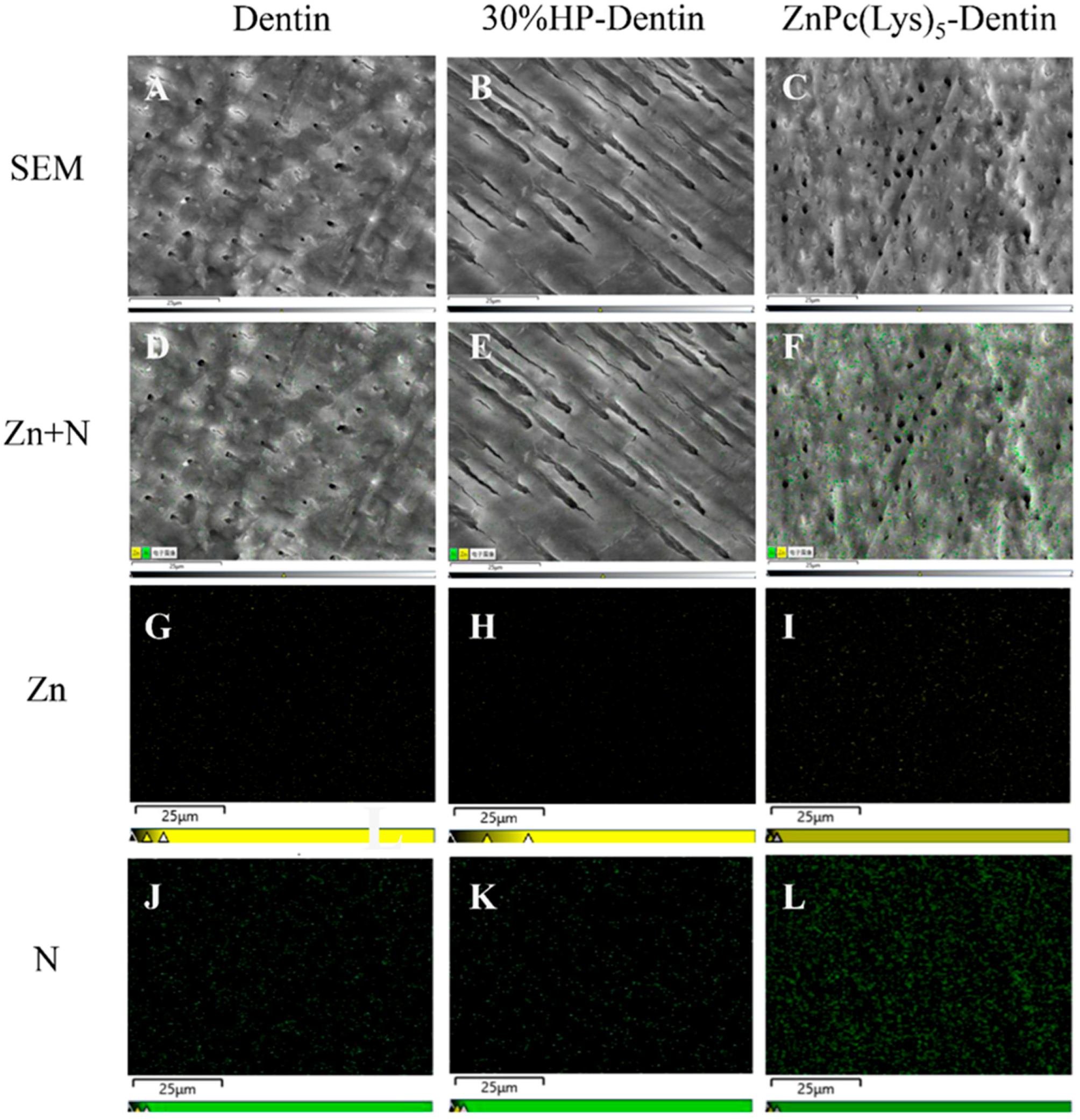 Molecules 28 04223 g005 Molecules 28 04223 g005