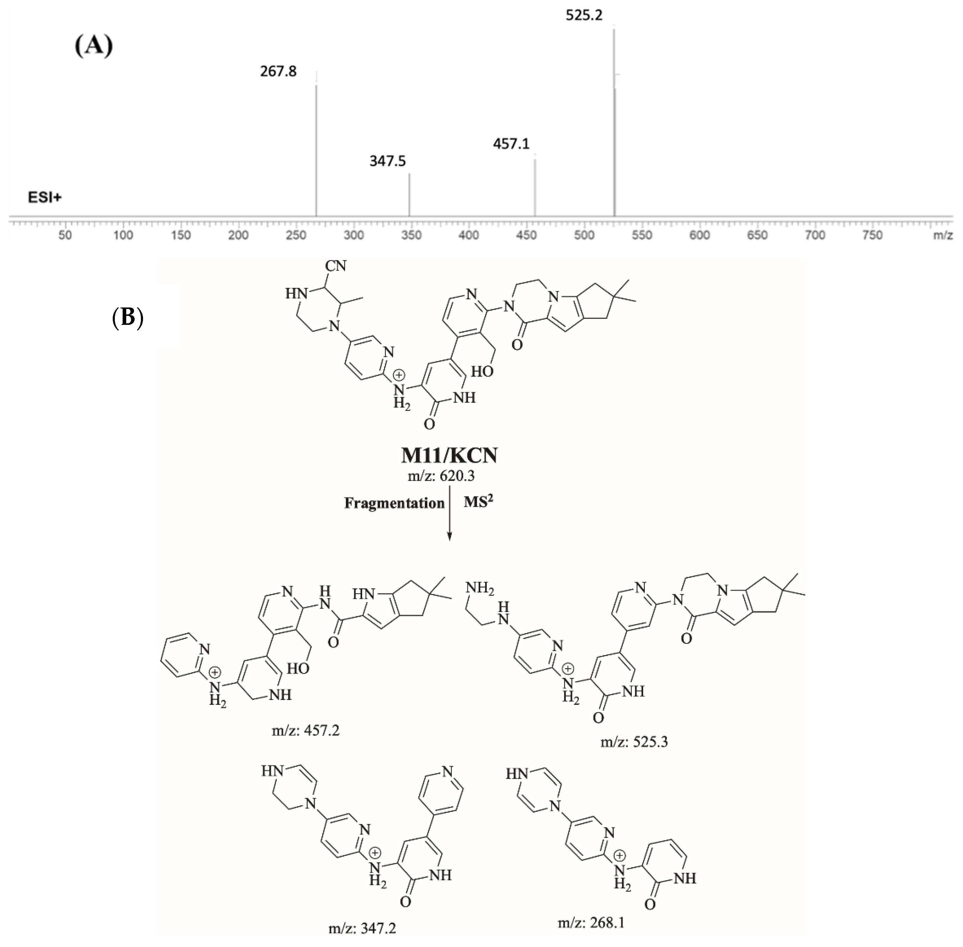 Molecules 28 04225 g007 Molecules 28 04225 g007