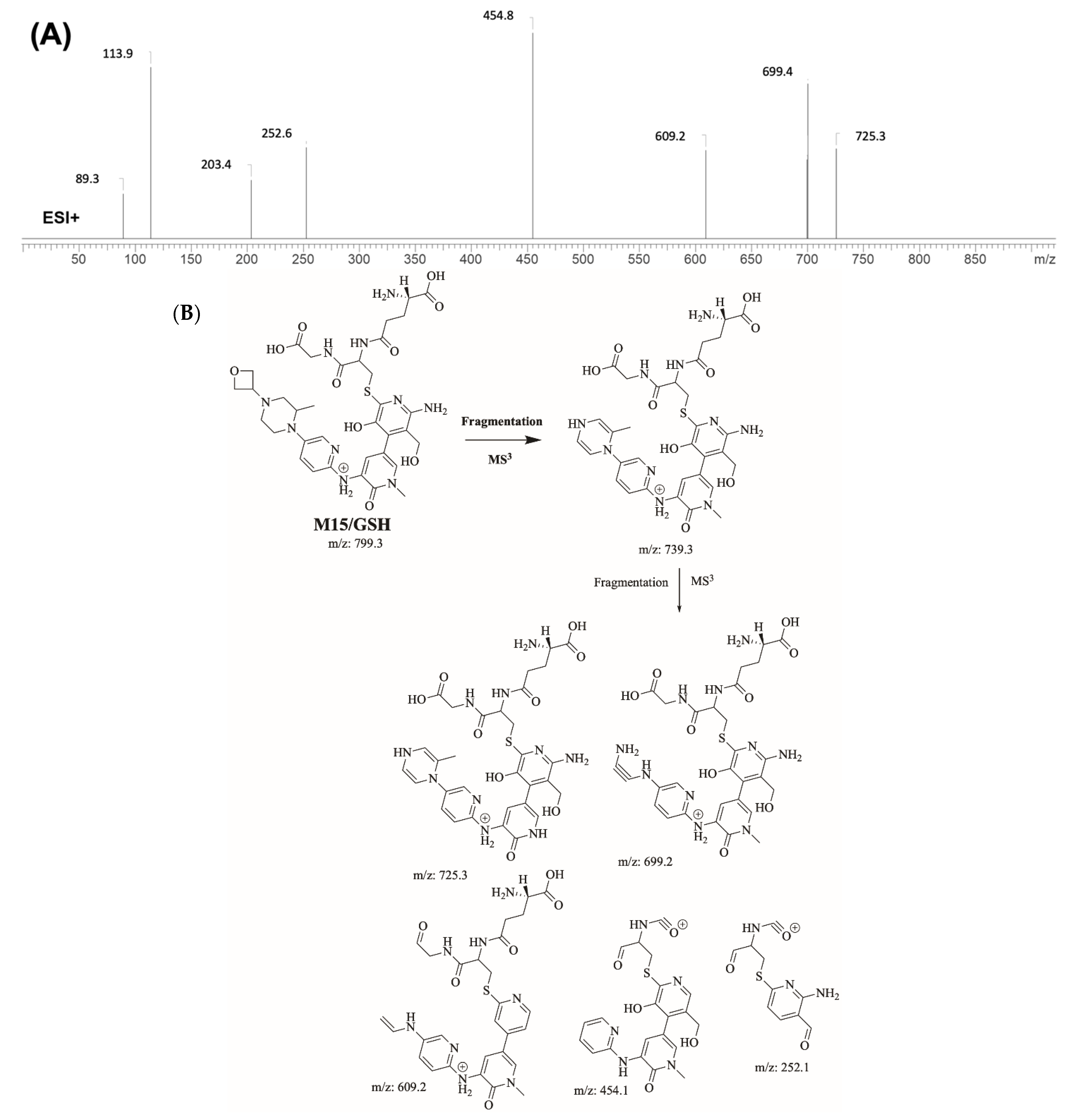 Molecules 28 04225 g010 Molecules 28 04225 g010