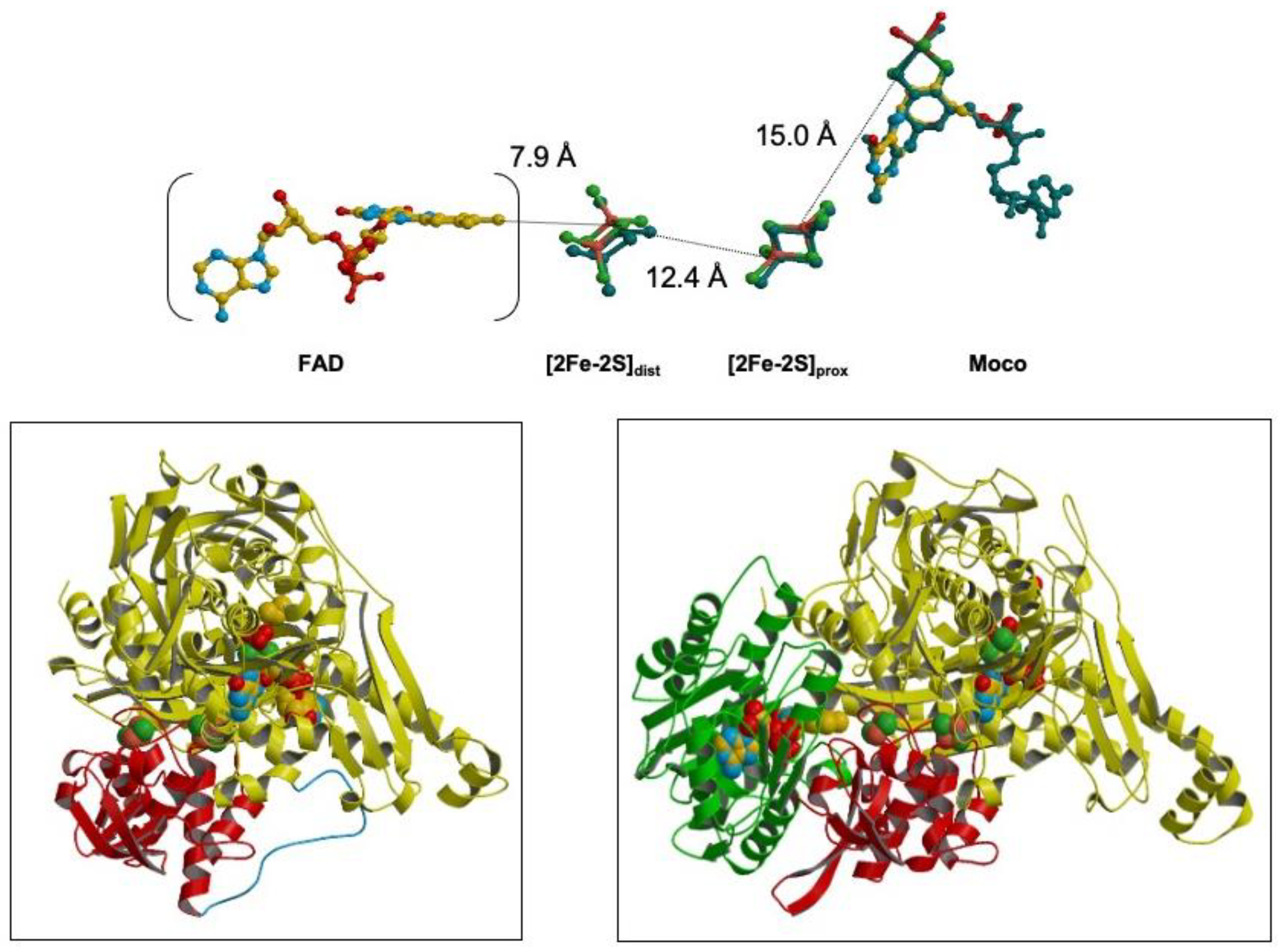 Molecules 28 04229 g001