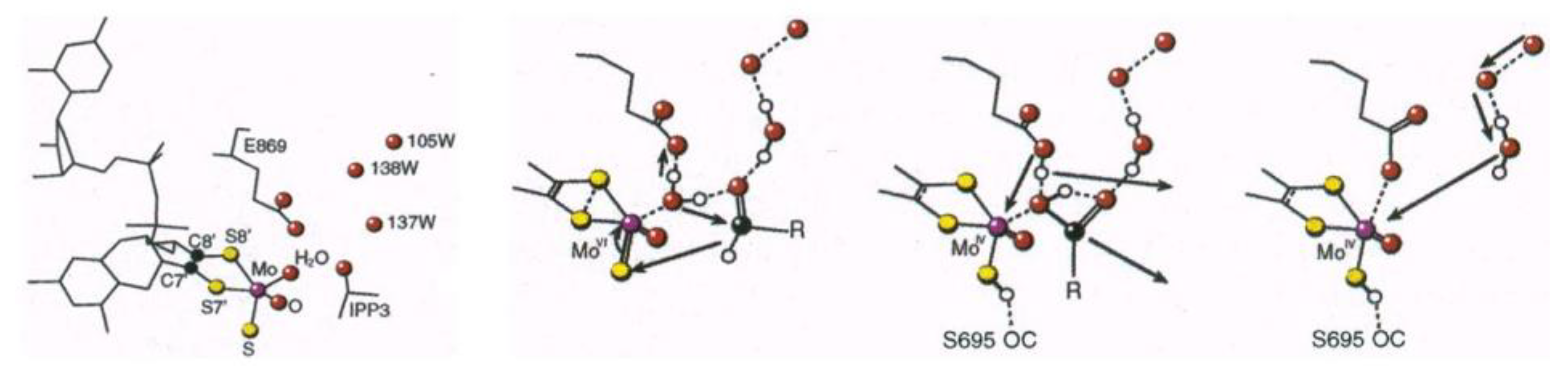 Molecules 28 04229 g002