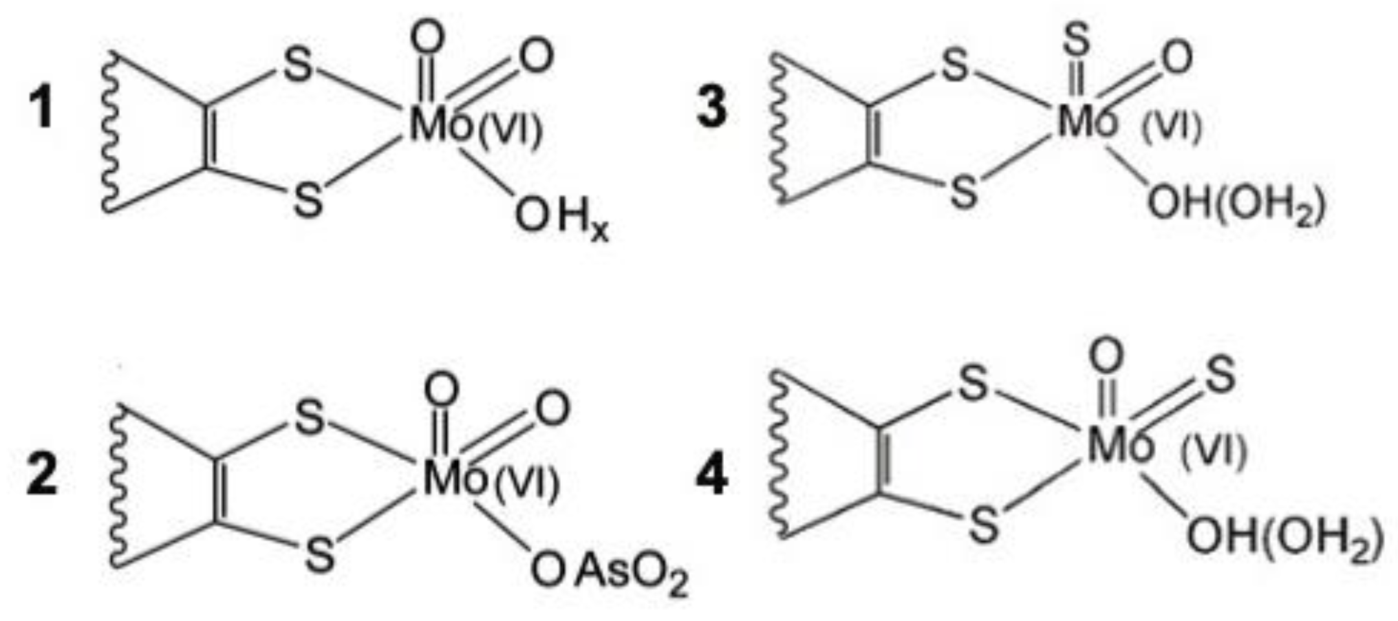 Molecules 28 04229 g003