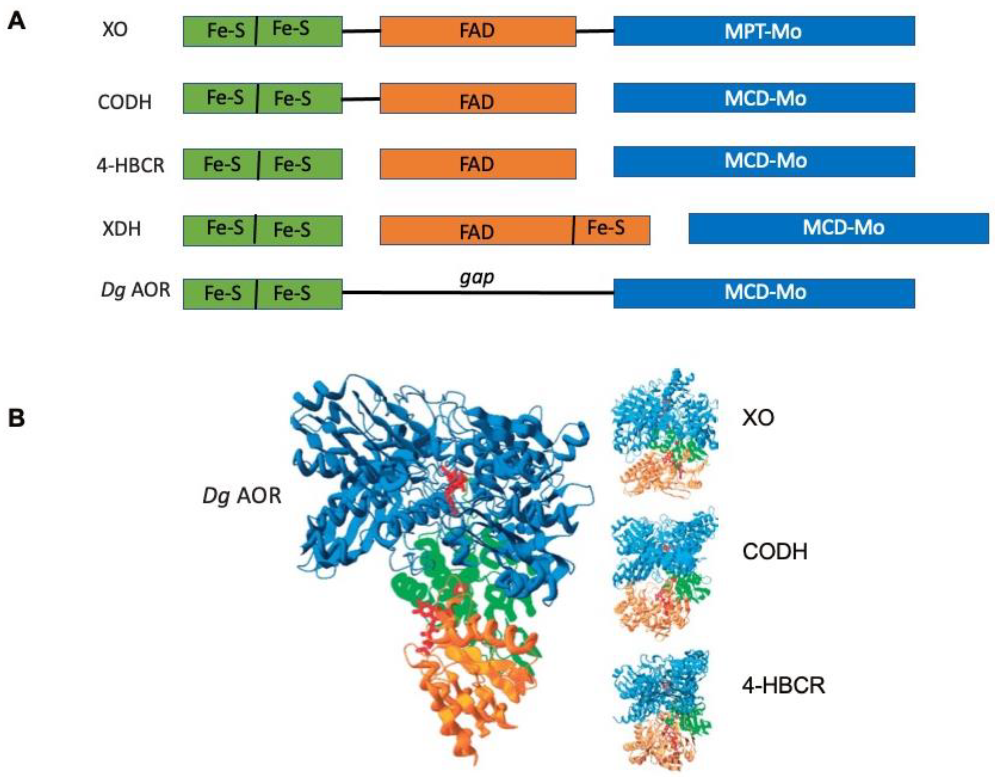 Molecules 28 04229 g005