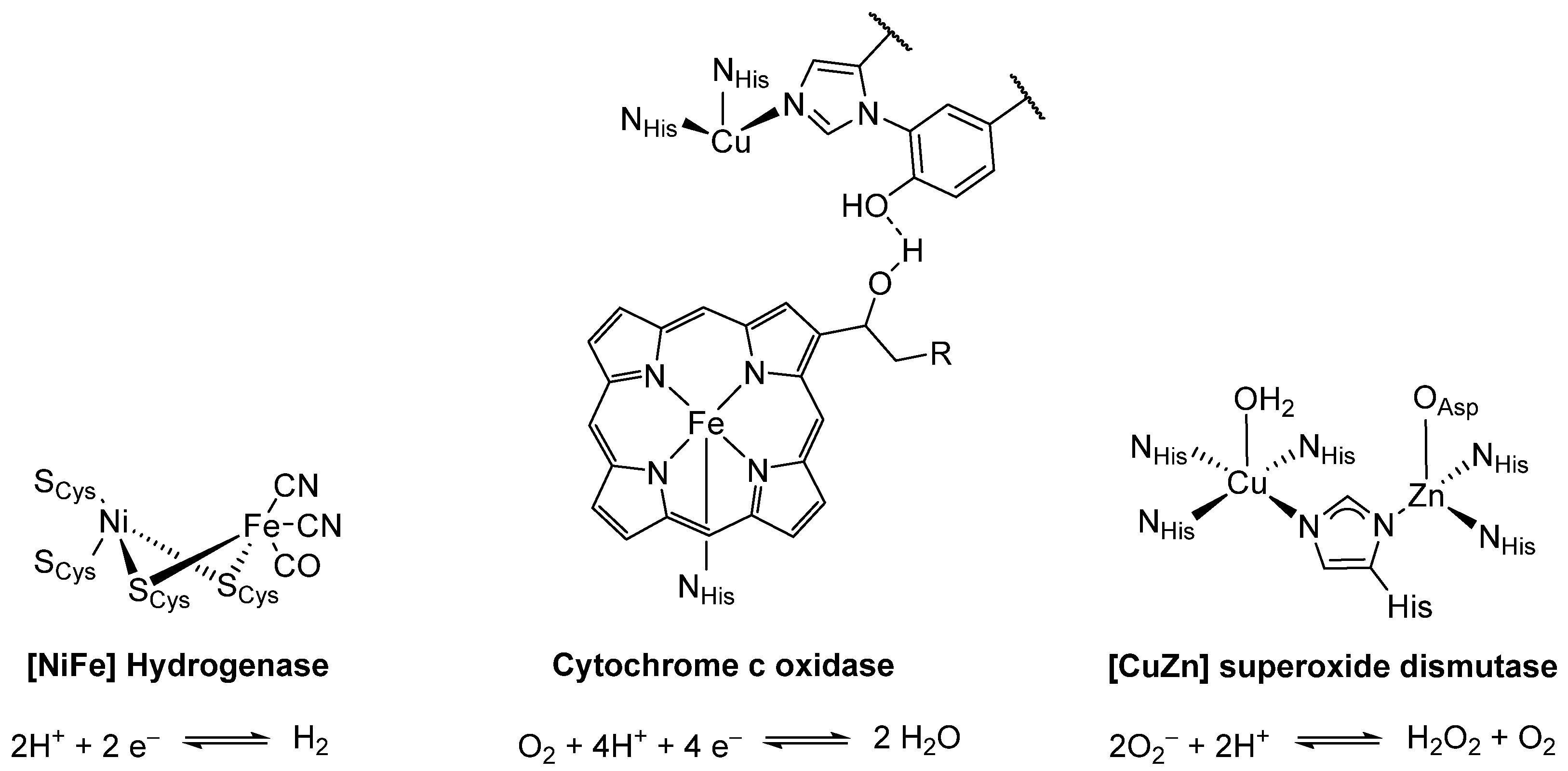 Molecules 28 04233 g001 Molecules 28 04233 g001