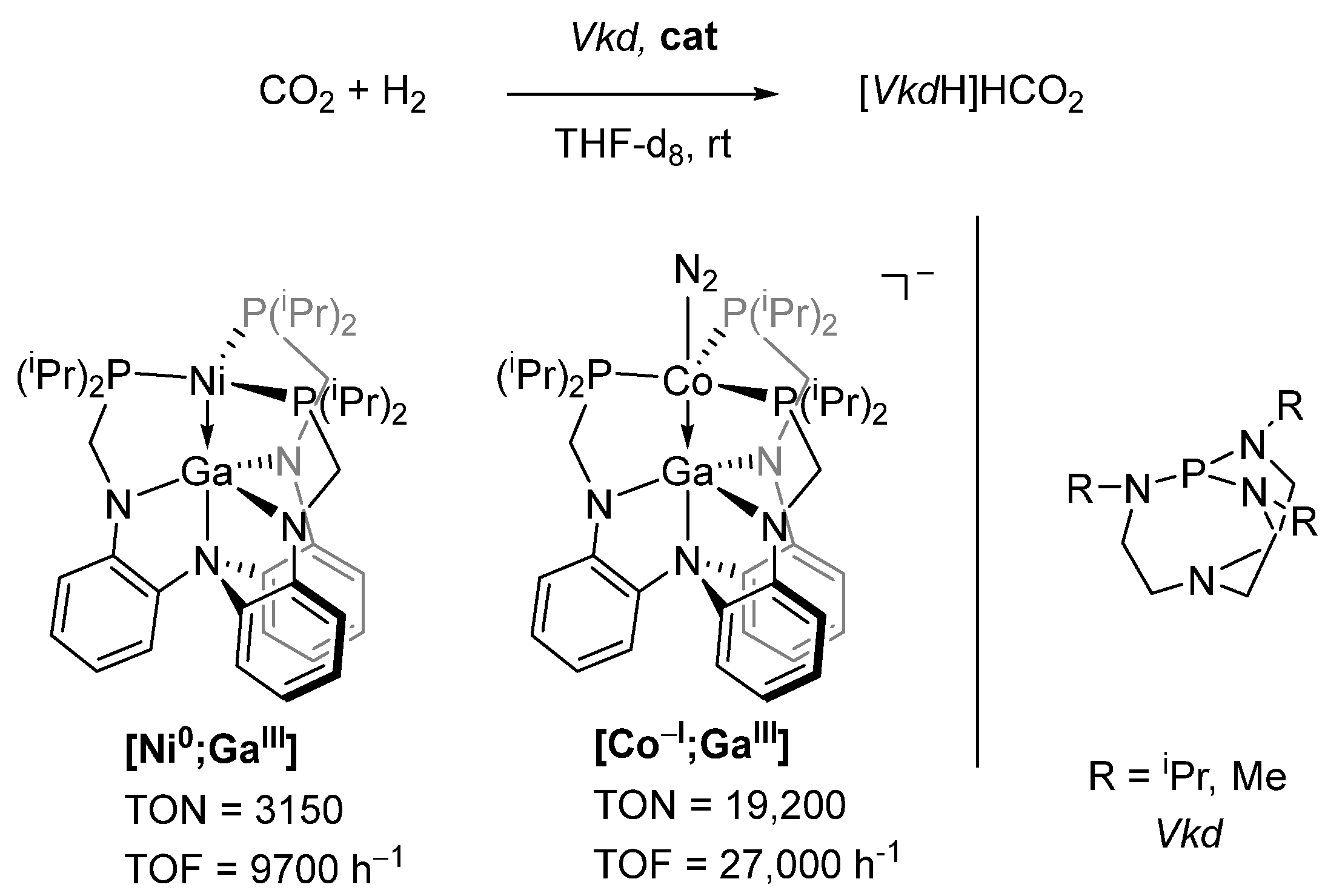 Molecules 28 04233 g004 Molecules 28 04233 g004