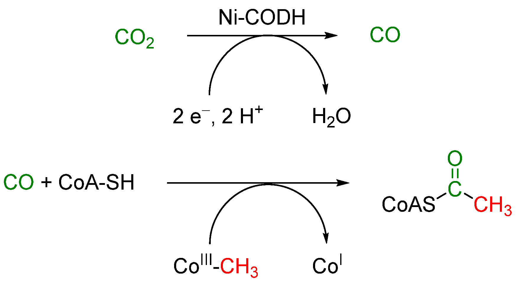 Molecules 28 04233 sch001 Molecules 28 04233 sch001