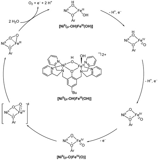 Added Complexity!—Mechanistic Aspects of Heterobimetallic 