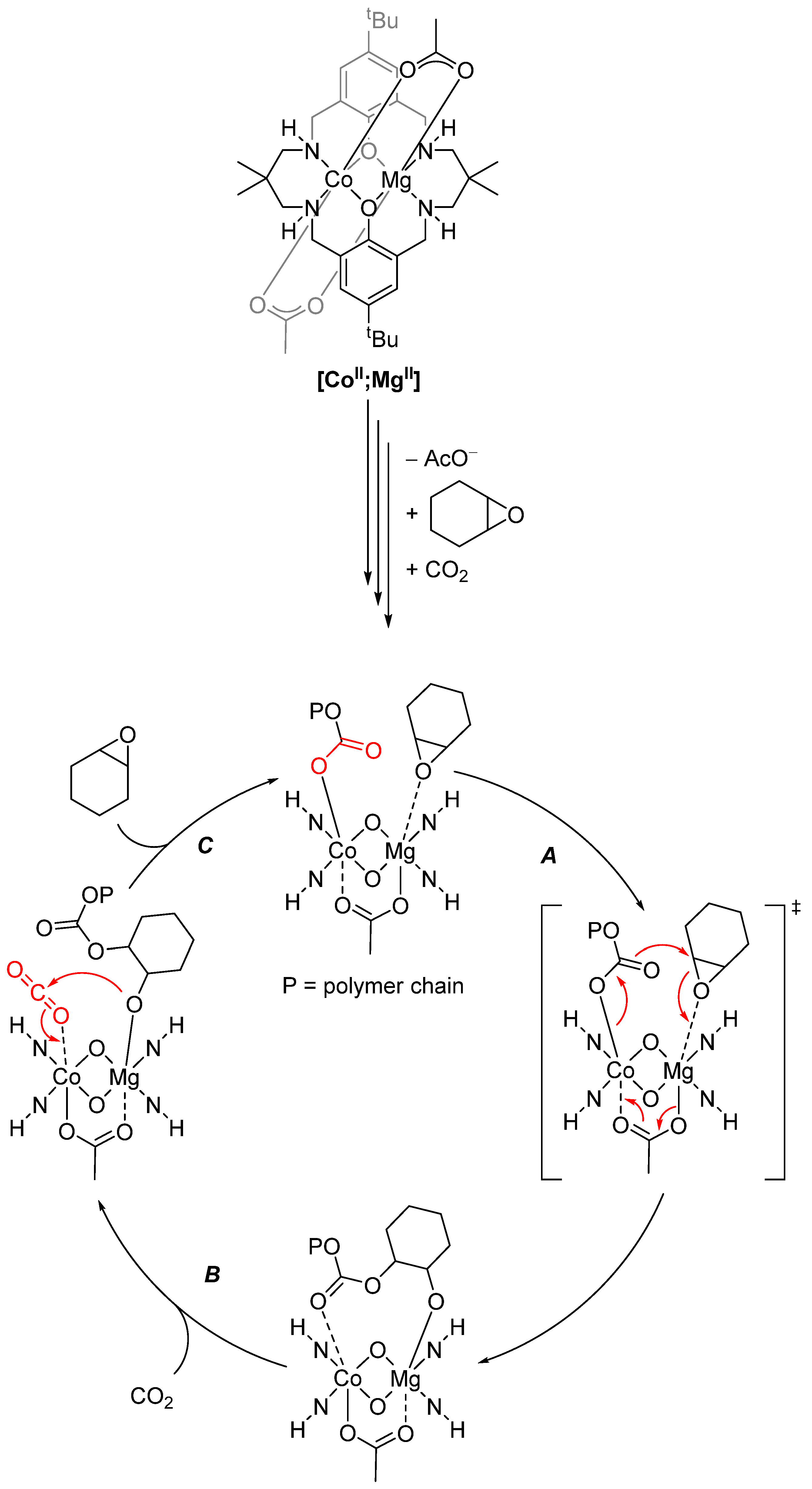 Molecules 28 04233 sch023 Molecules 28 04233 sch023