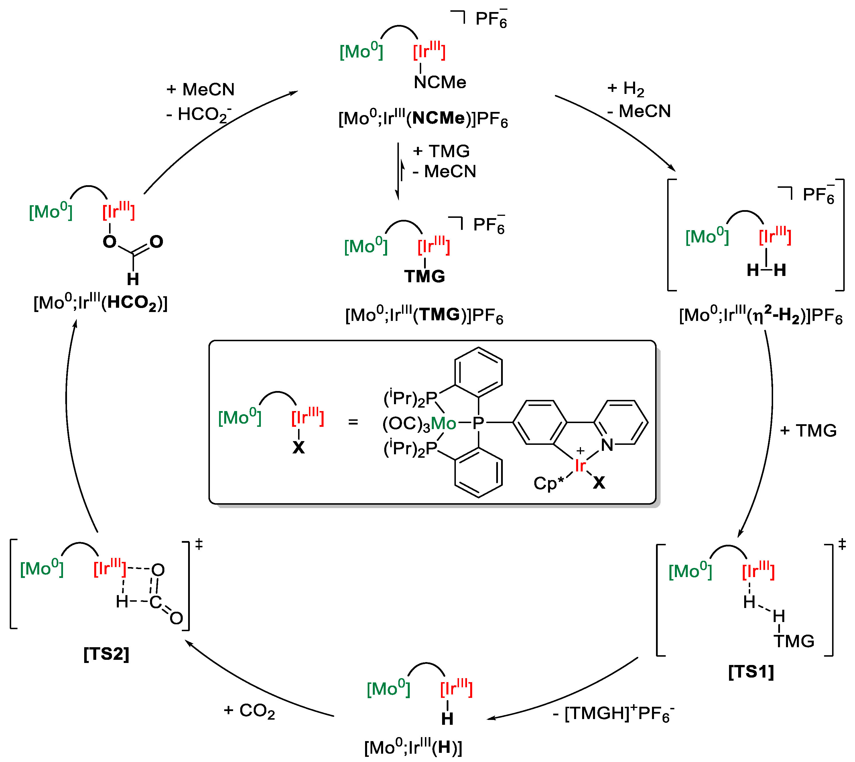 Molecules 28 04233 sch025 Molecules 28 04233 sch025
