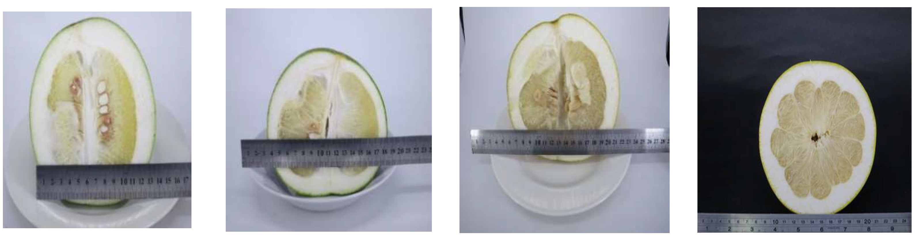 Molecules 28 04244 g001 Molecules 28 04244 g001
