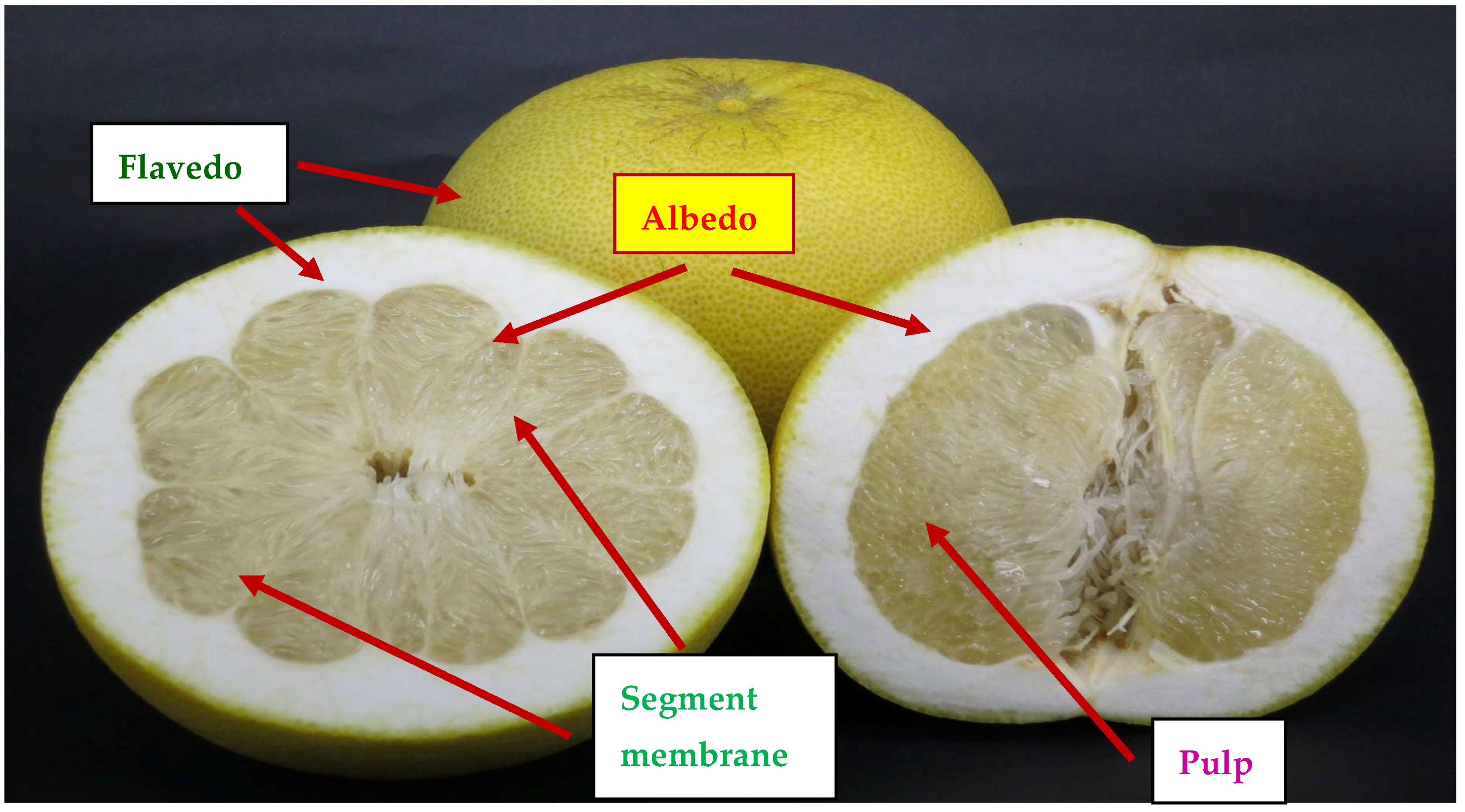 Molecules 28 04244 g002 Molecules 28 04244 g002