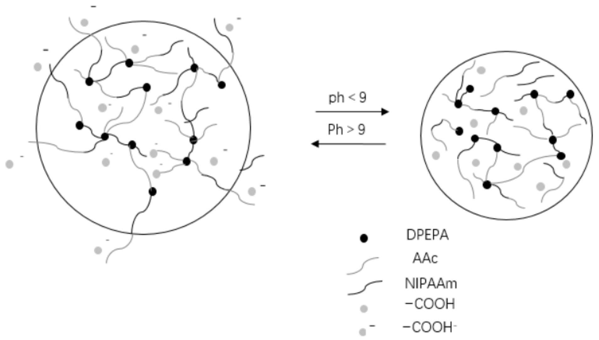 Molecules 28 04246 g021