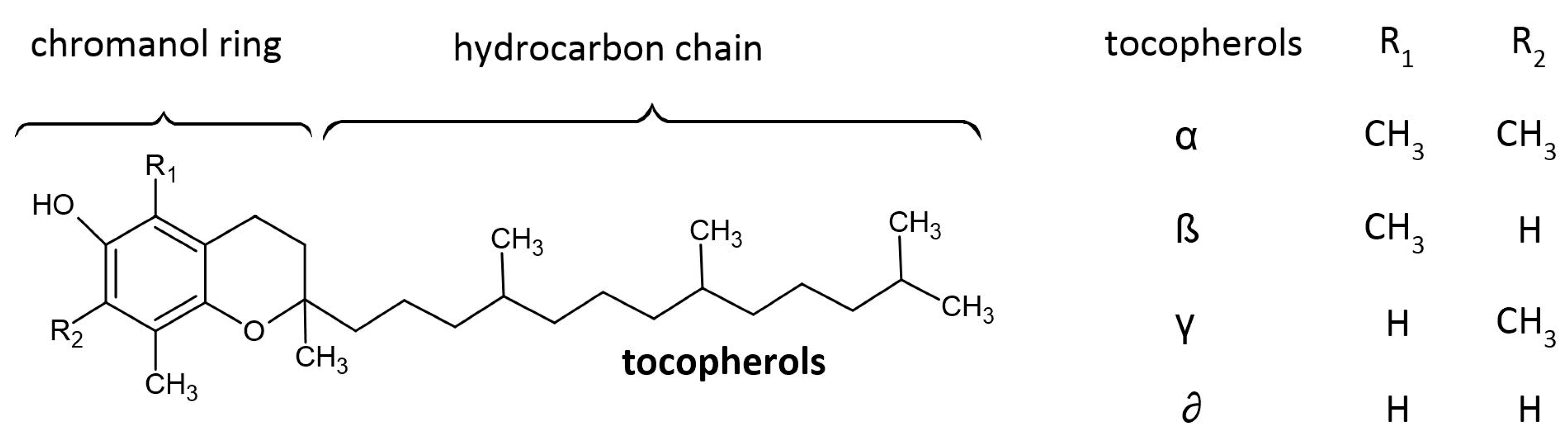 Molecules 28 04247 g001 Molecules 28 04247 g001