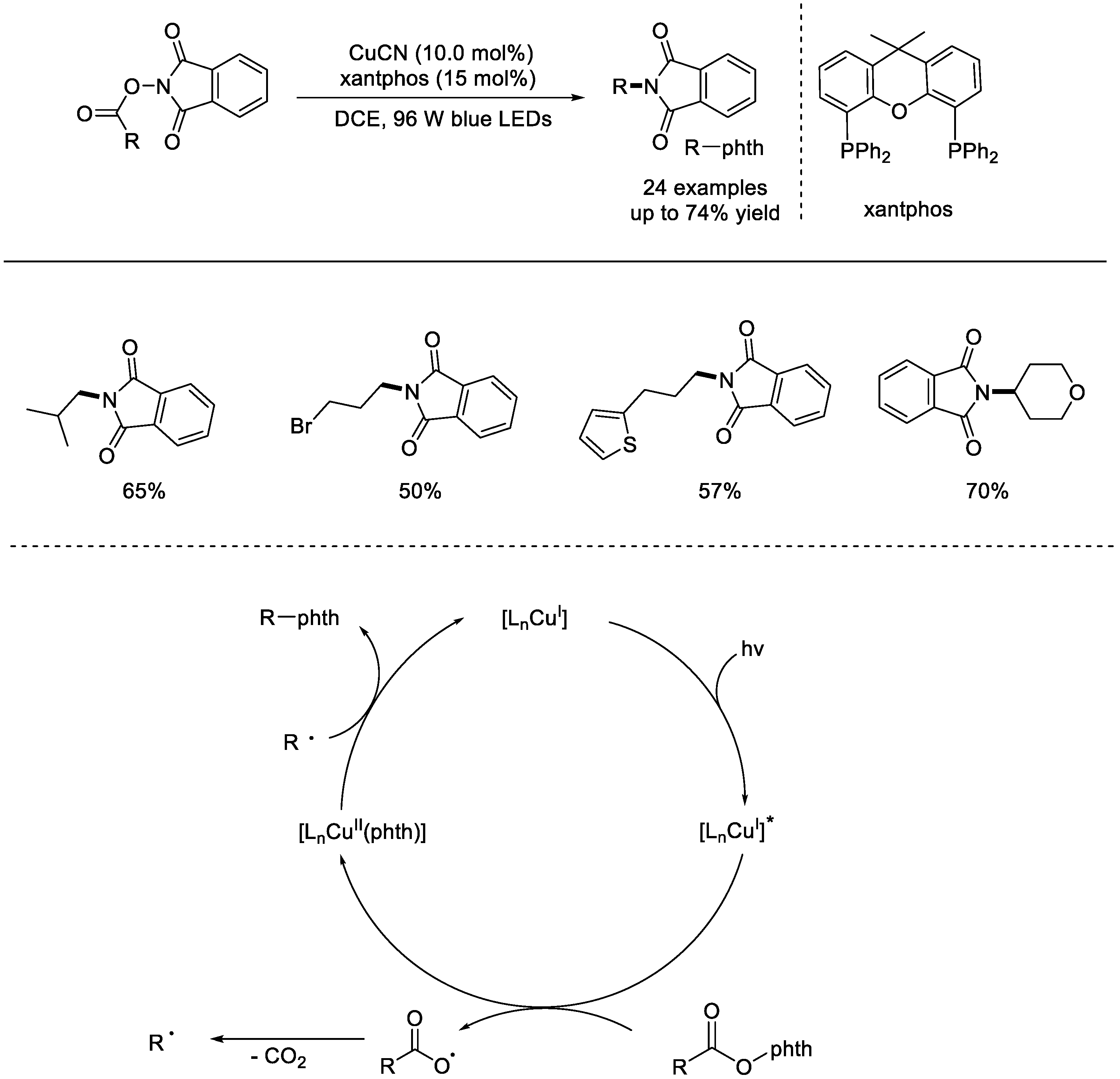 Molecules 28 04249 sch023 Molecules 28 04249 sch023