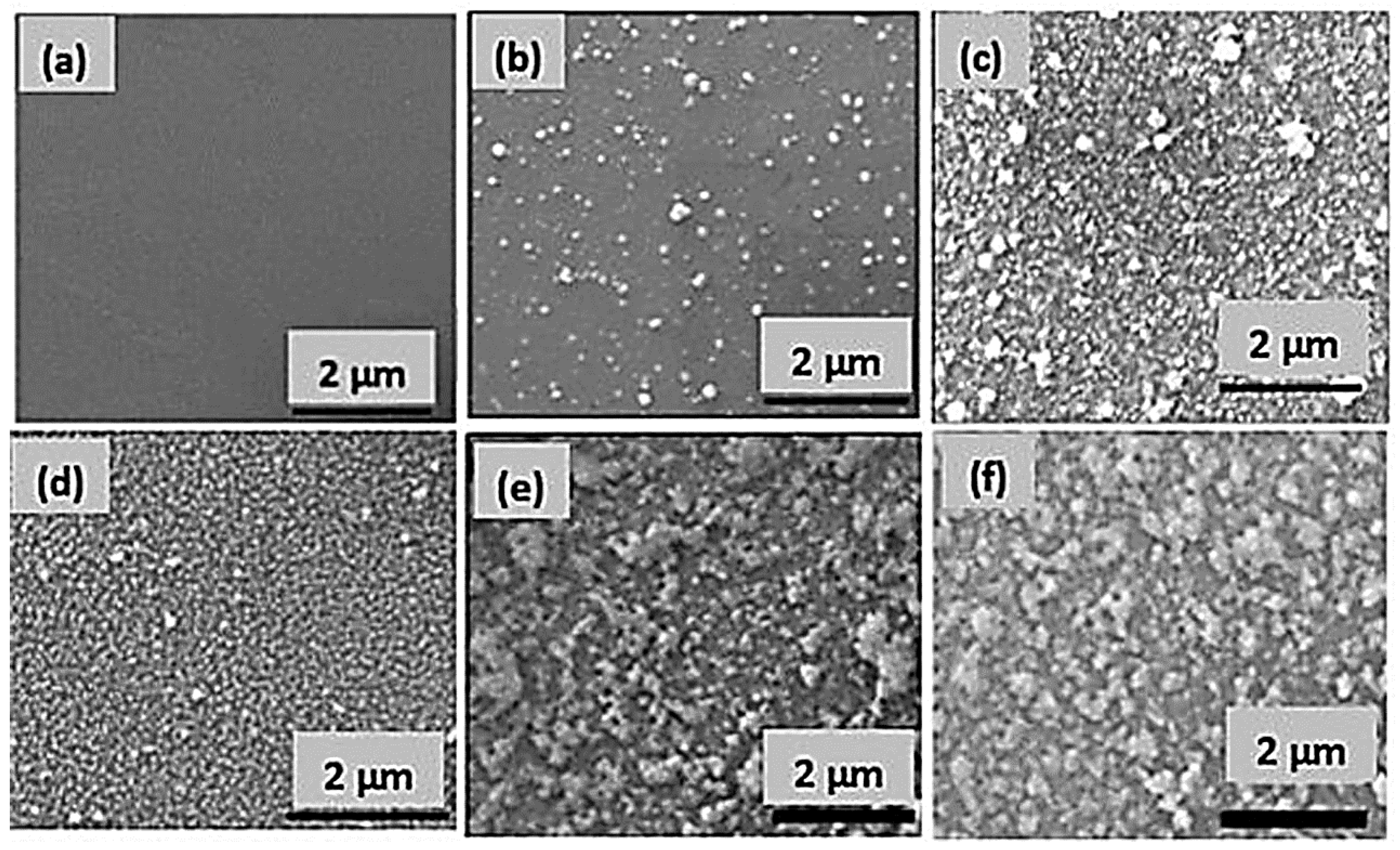 Molecules 28 04258 g003 Molecules 28 04258 g003