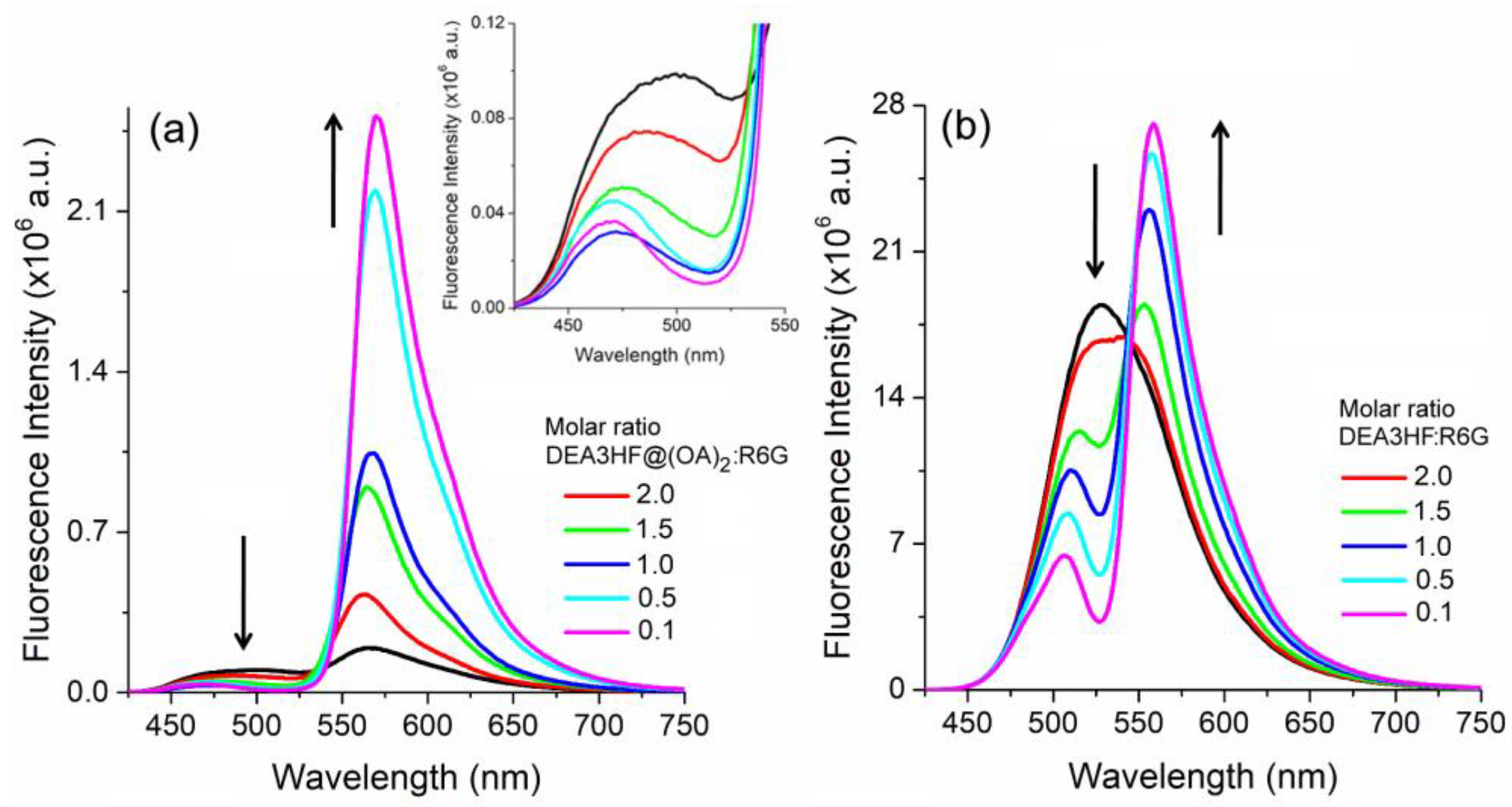 Molecules 28 04260 g004 Molecules 28 04260 g004