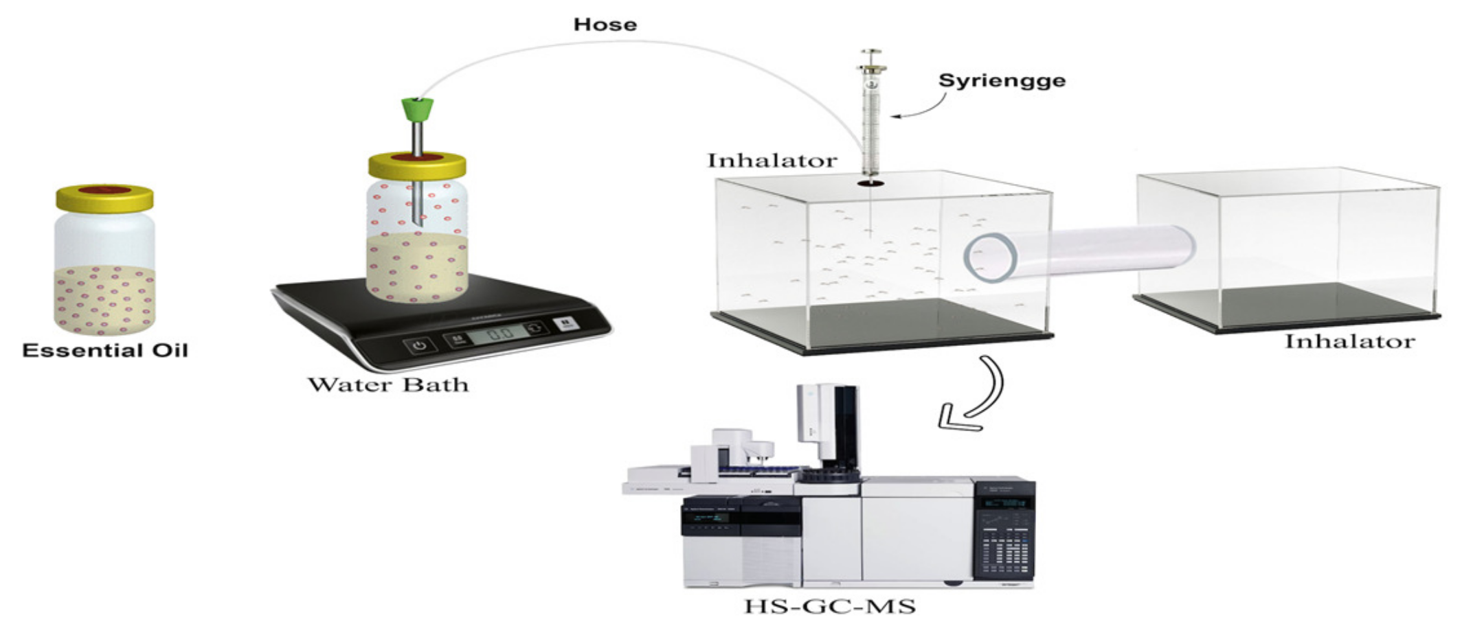 Molecules 28 04269 g005 Molecules 28 04269 g005