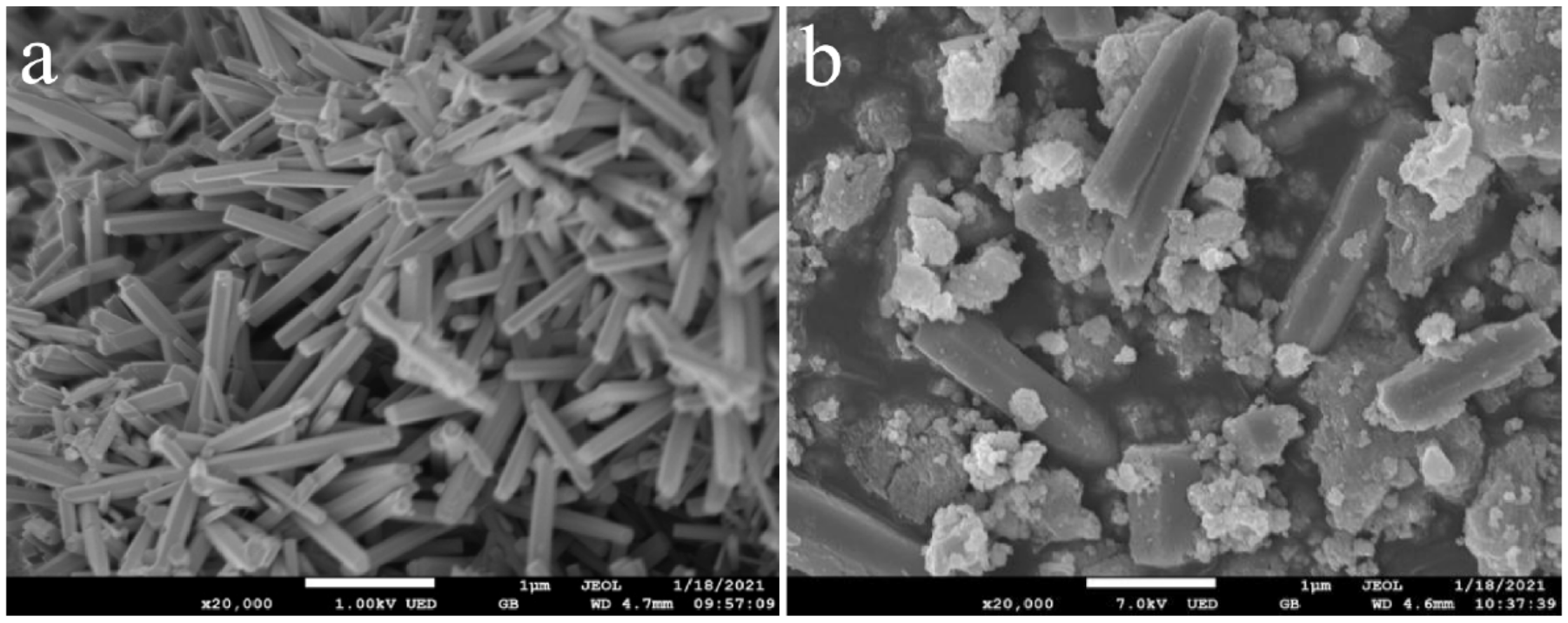Molecules 28 04277 g003