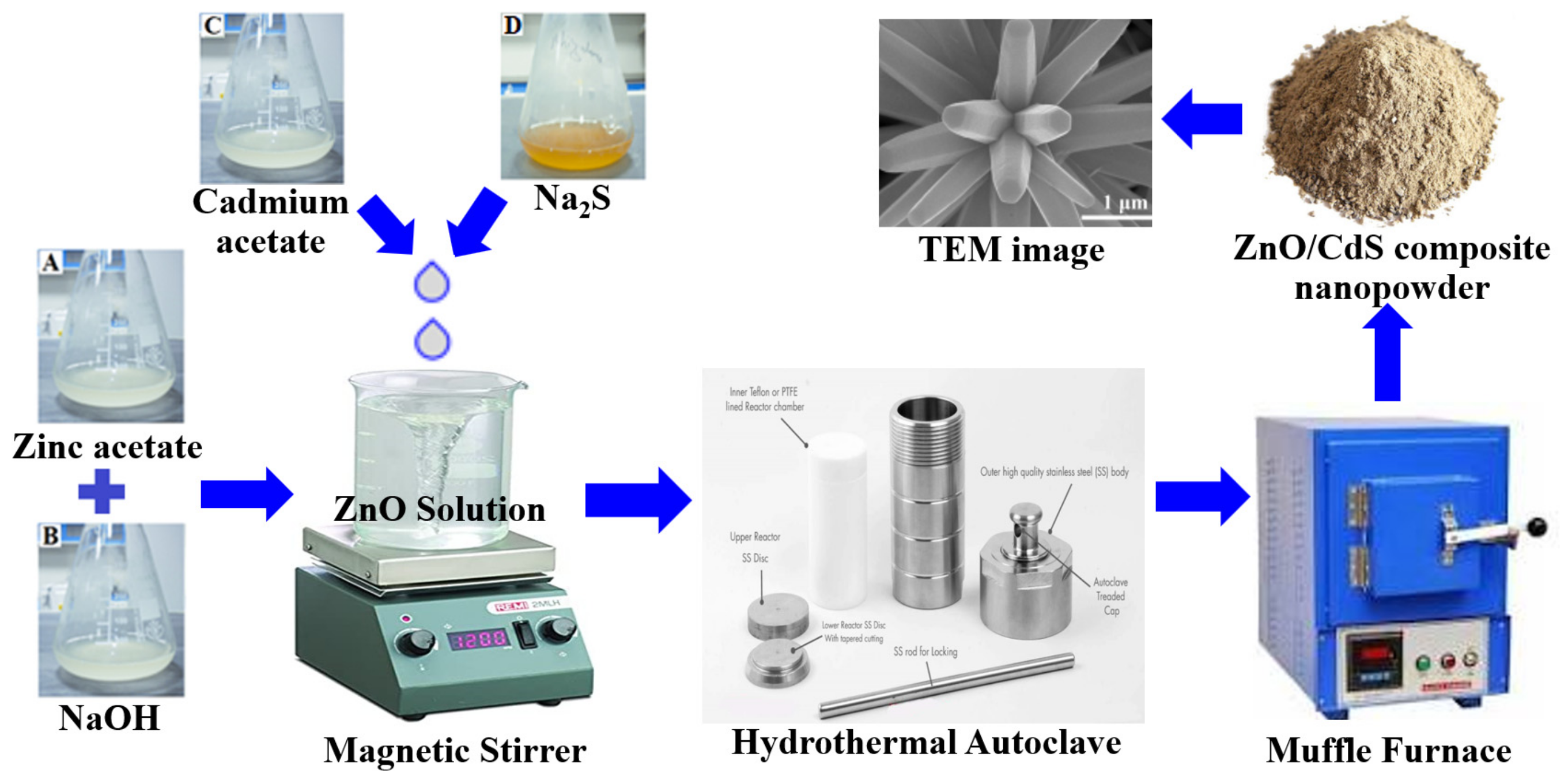 Molecules 28 04277 g004