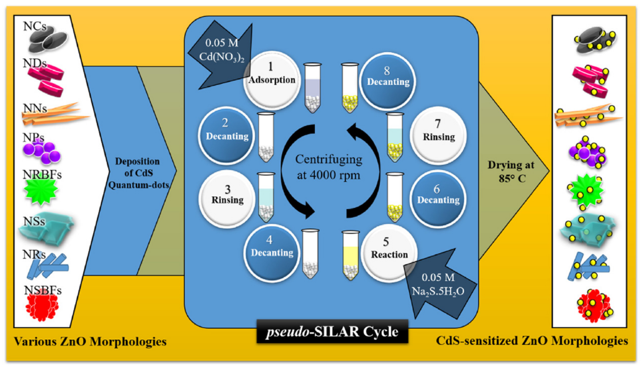Molecules 28 04277 g006