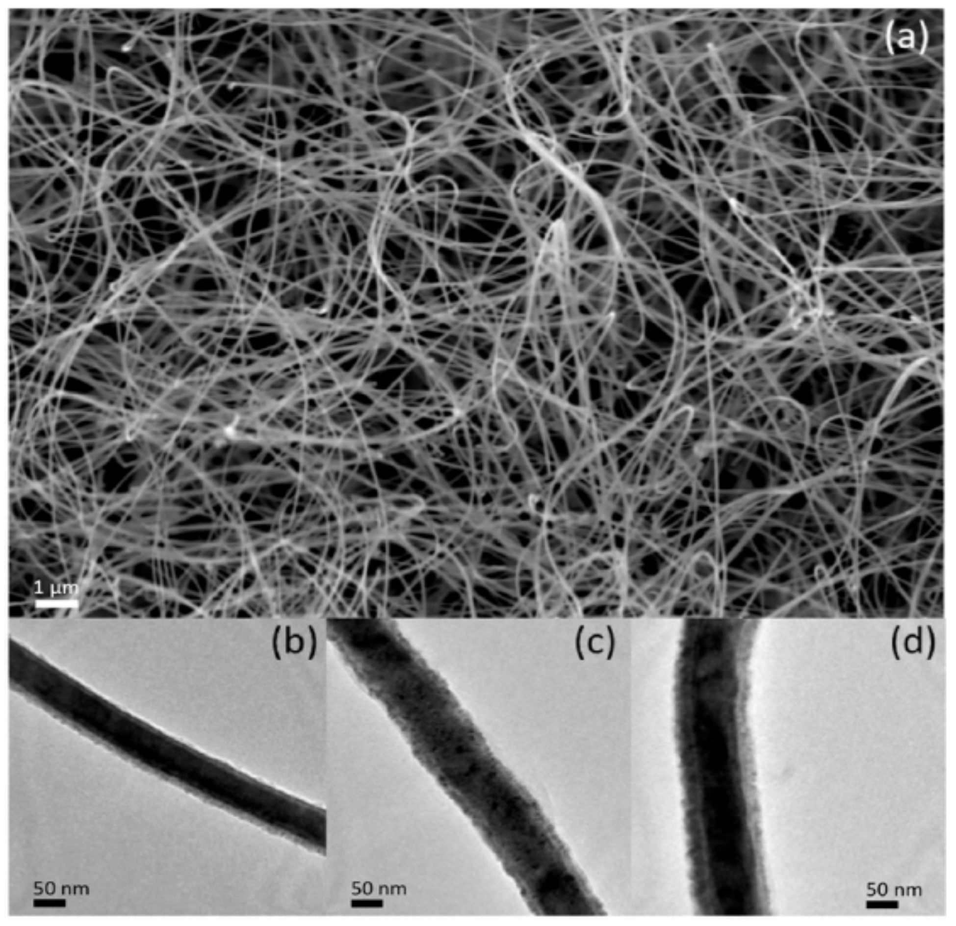 Molecules 28 04277 g007