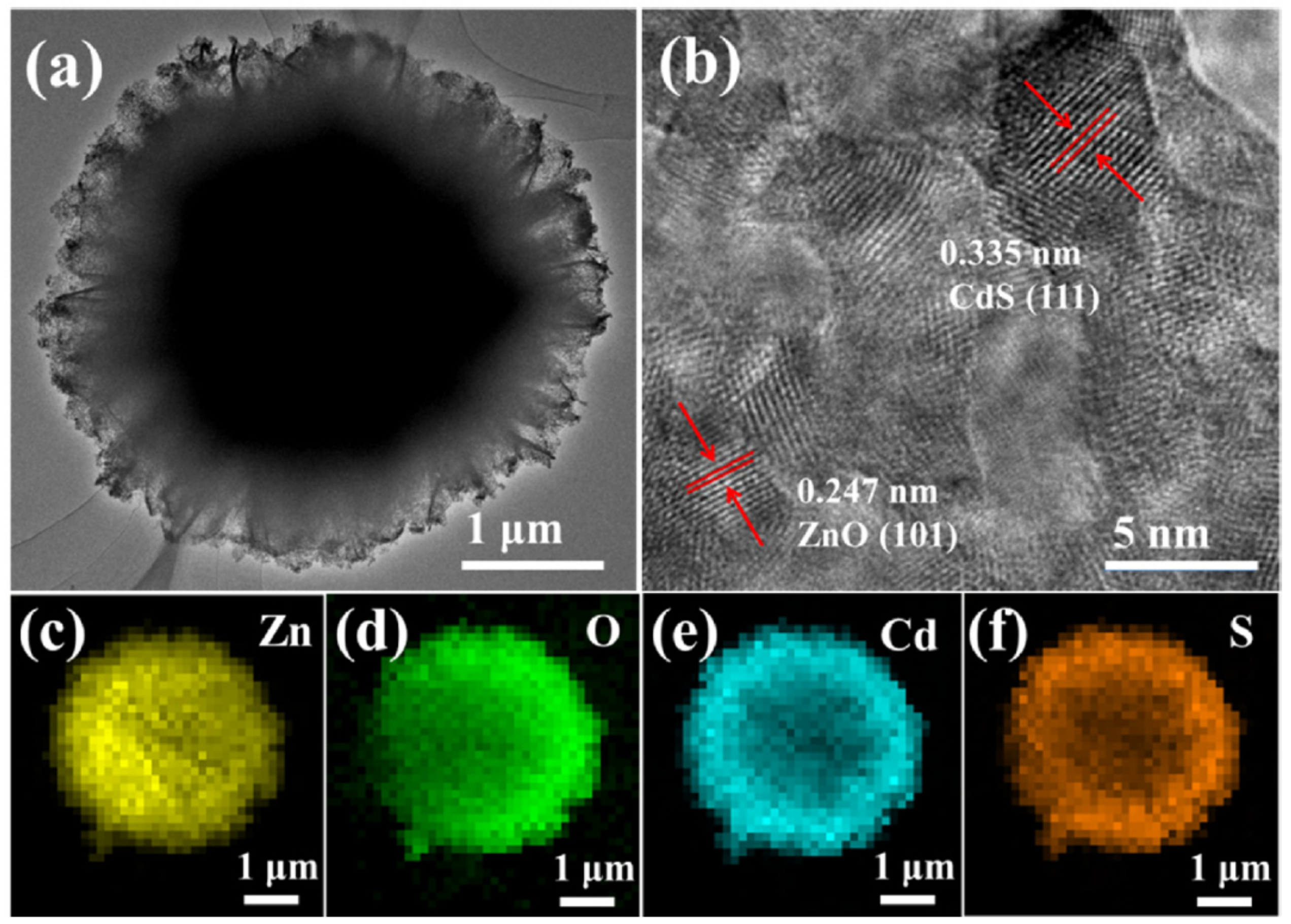 Molecules 28 04277 g008
