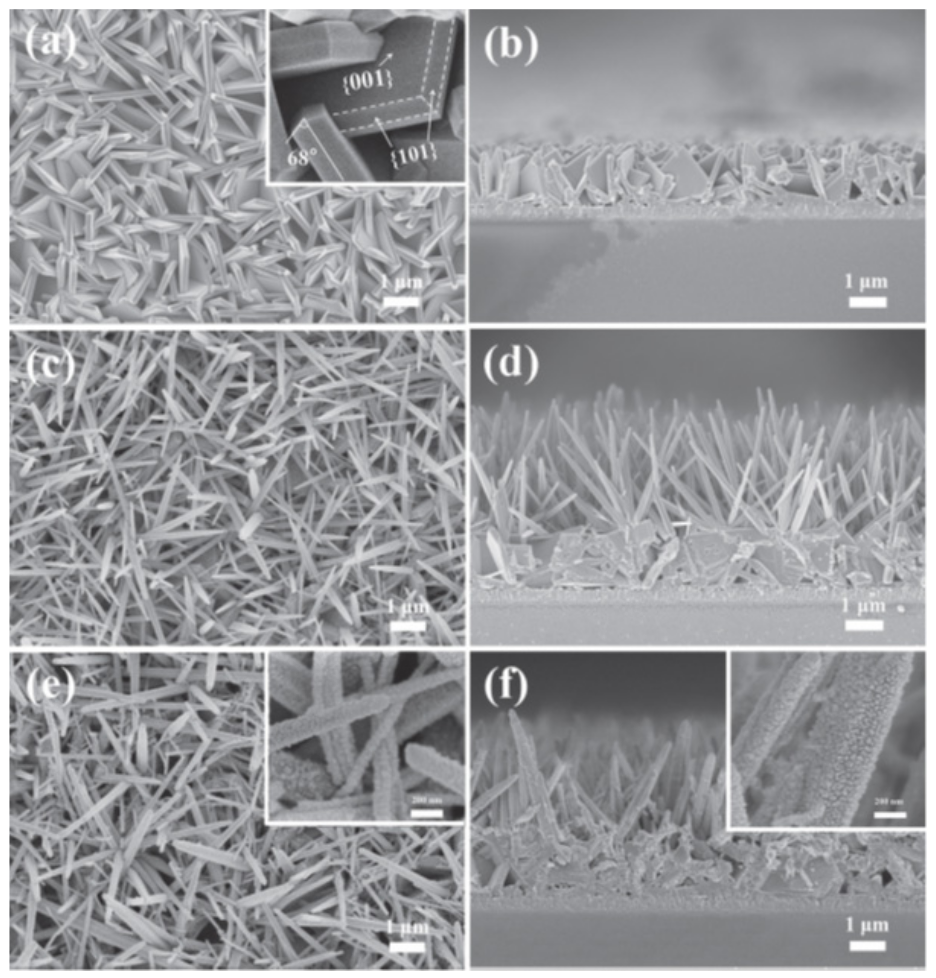 Molecules 28 04277 g009