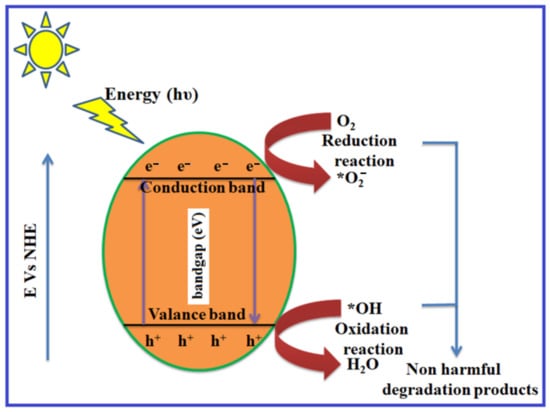 In Situ Charge Transfer at the Ag@ZnO Photoelectrochemical Interface toward  the High Photocatalytic Performance of H2 Evolution and RhB Degradation
