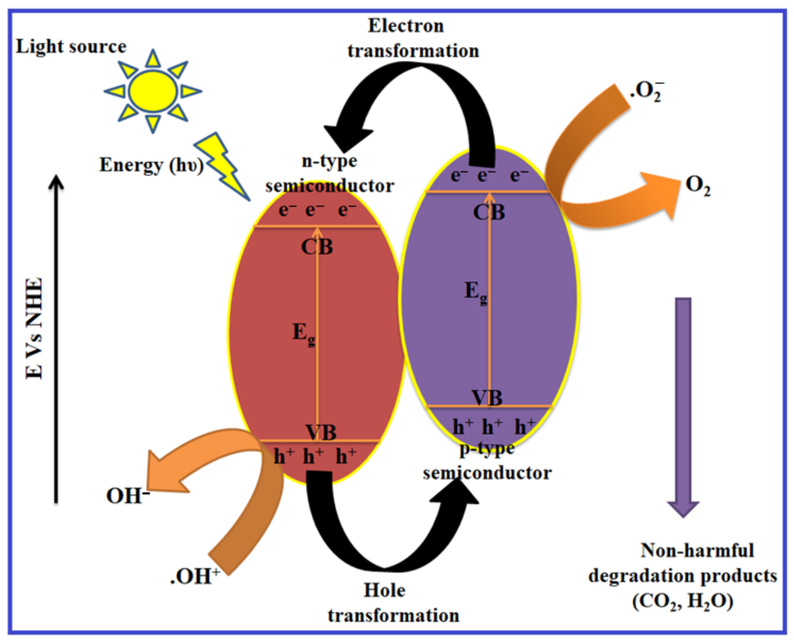 Molecules 28 04277 g013