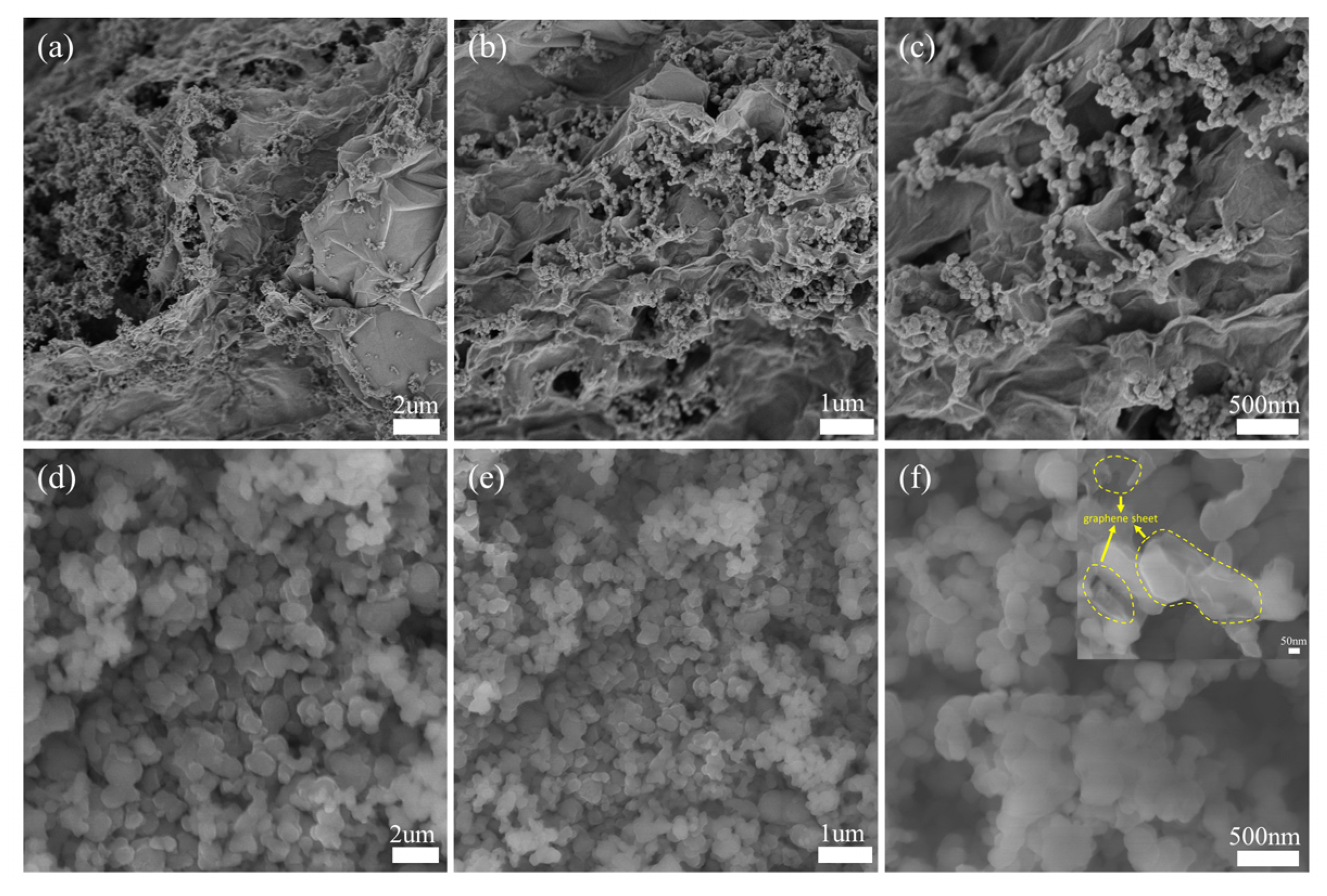 Molecules 28 04280 g004 Molecules 28 04280 g004