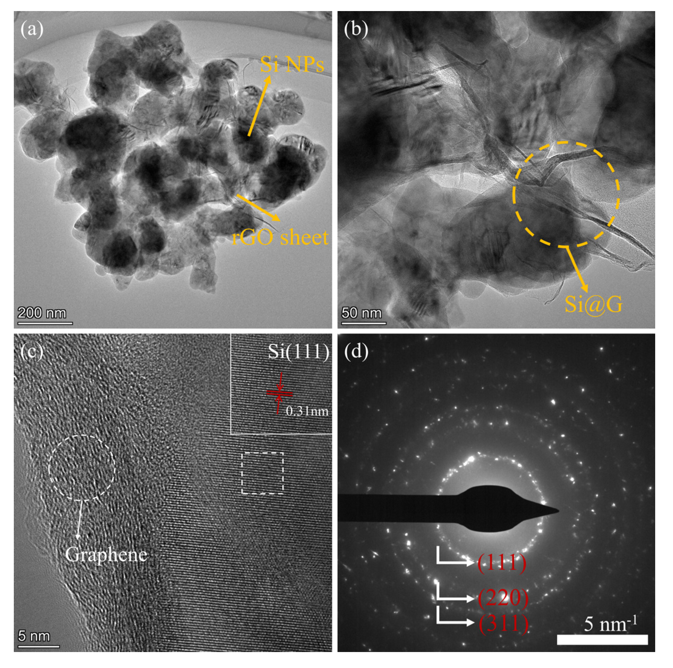 Molecules 28 04280 g005 Molecules 28 04280 g005