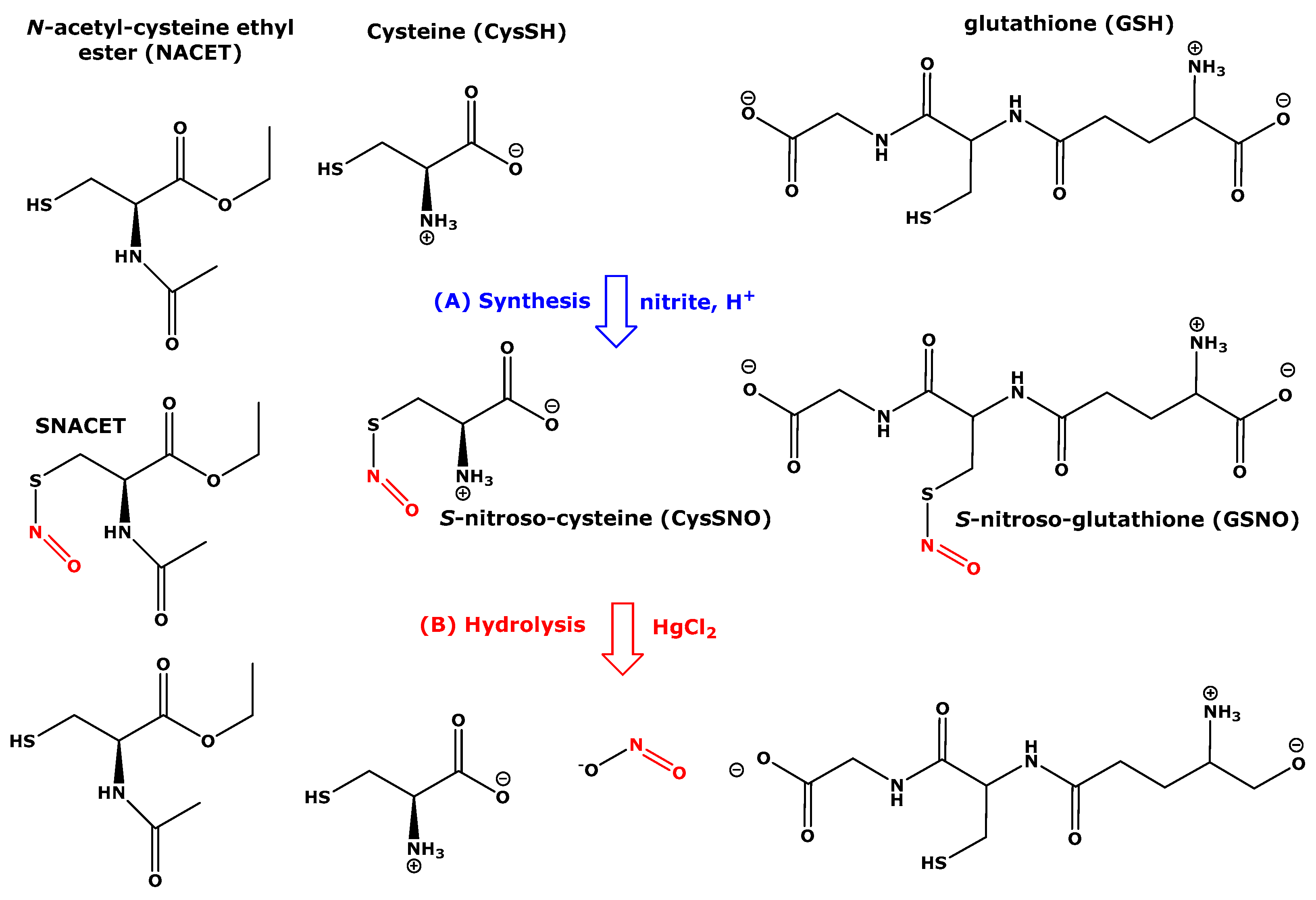 Molecules 28 04281 sch001