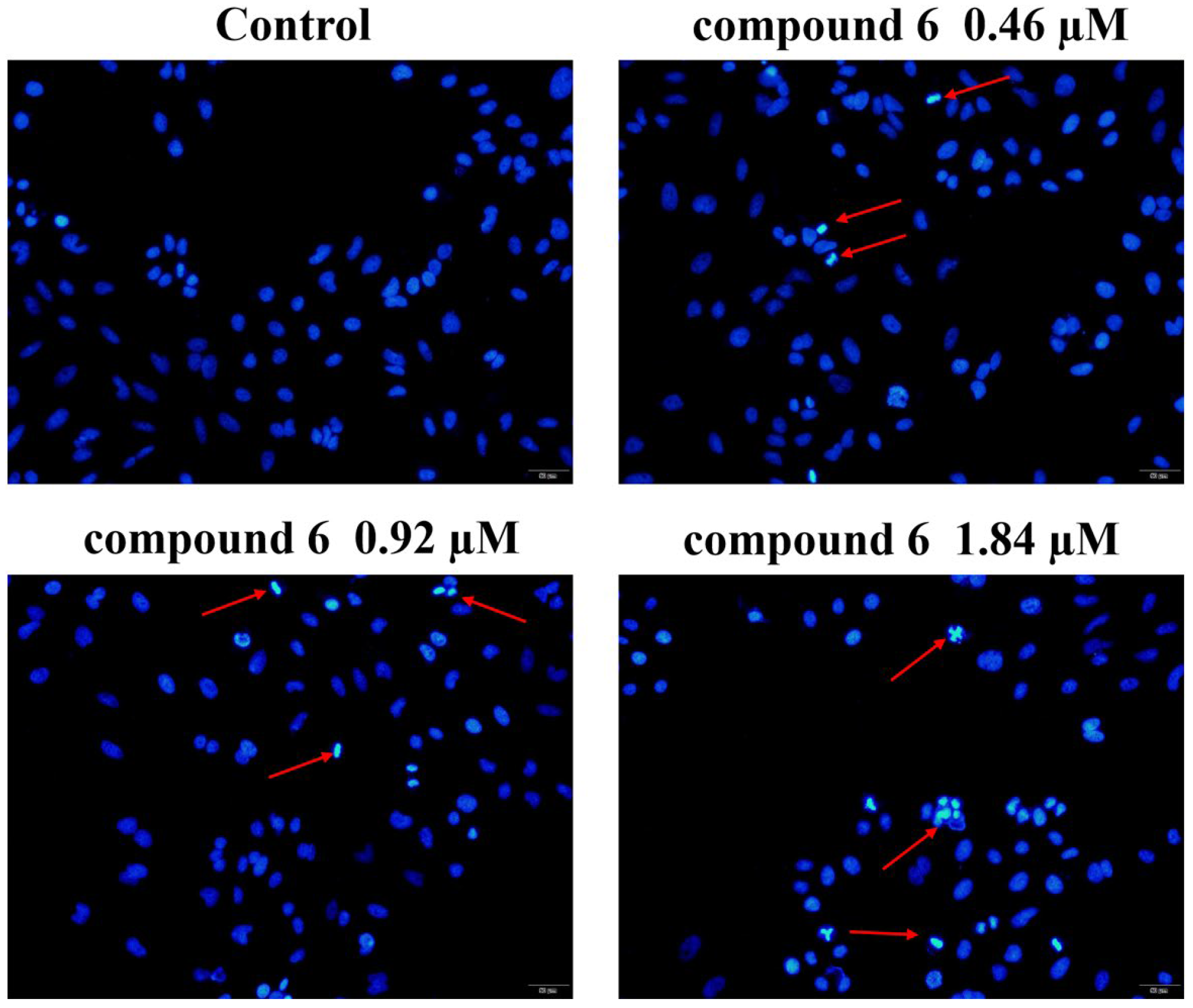 Molecules 28 04284 g003 Molecules 28 04284 g003