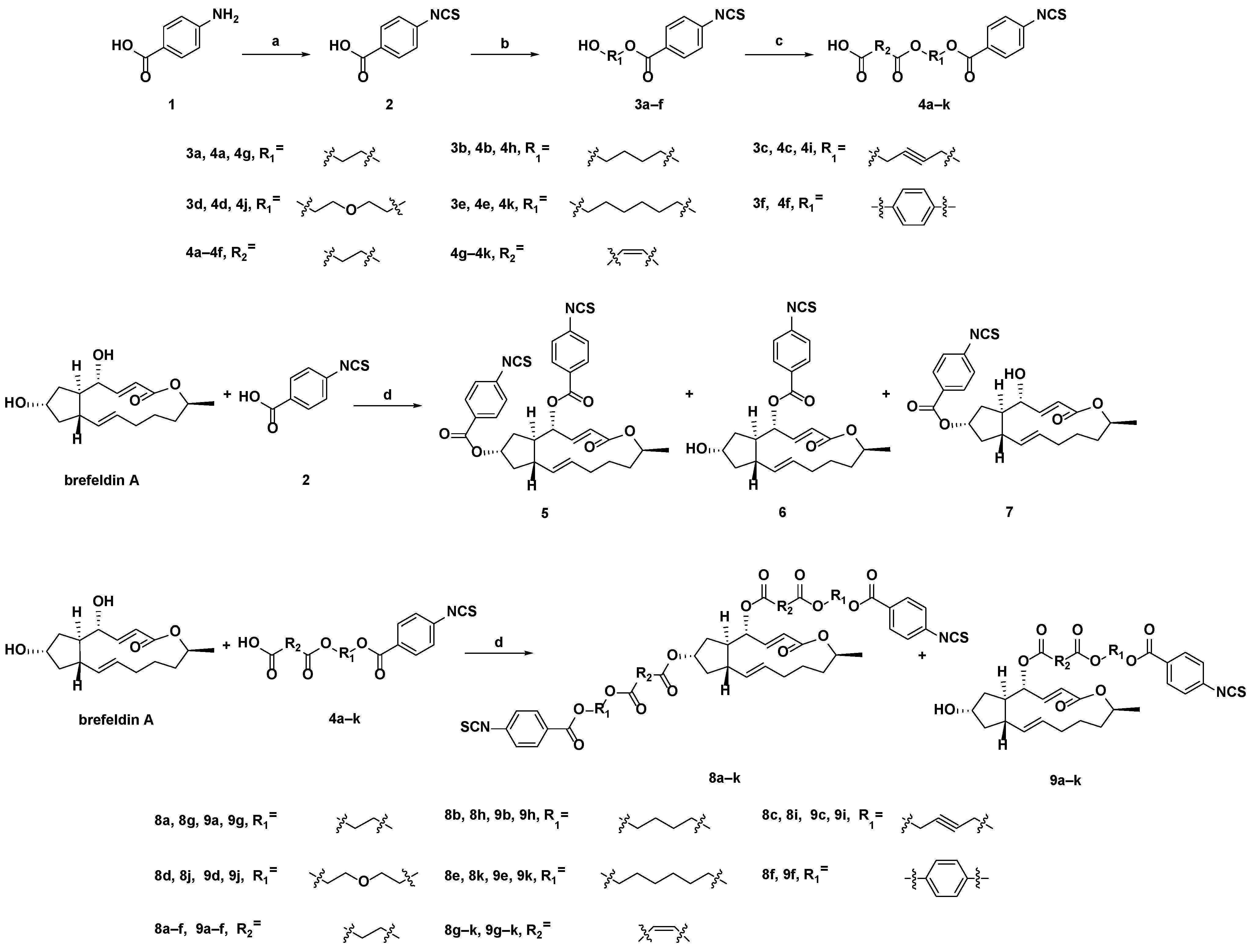 Molecules 28 04284 sch001 Molecules 28 04284 sch001