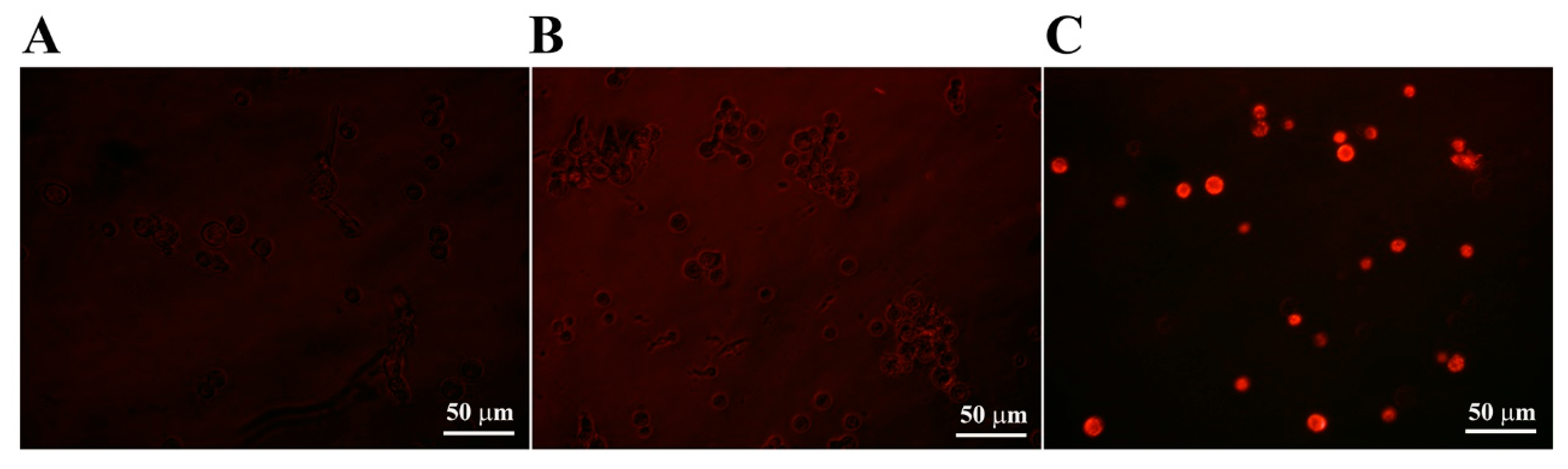 Molecules 28 04289 g006 Molecules 28 04289 g006