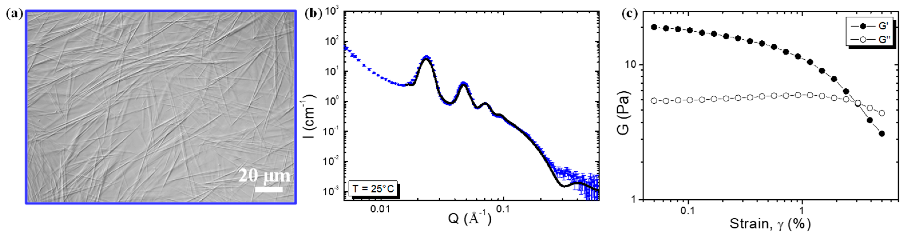 Molecules 28 04295 g002 Molecules 28 04295 g002